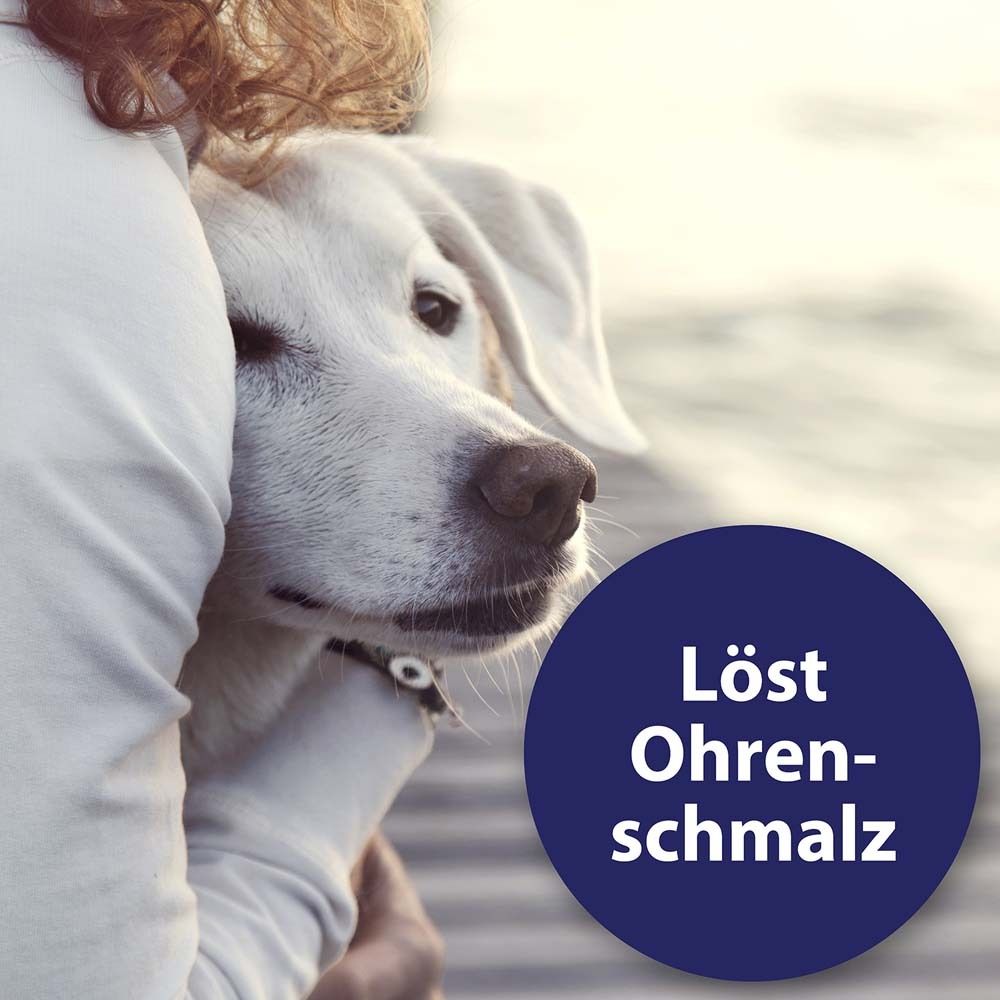 Witte hond wordt vastgehouden, blauwe cirkel met tekst 'Löst Ohrenschmalz'.