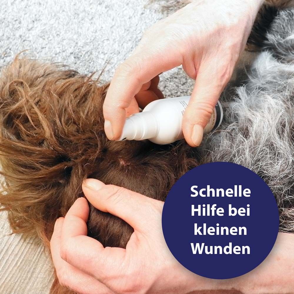 Canosept® Wondspray voor honden