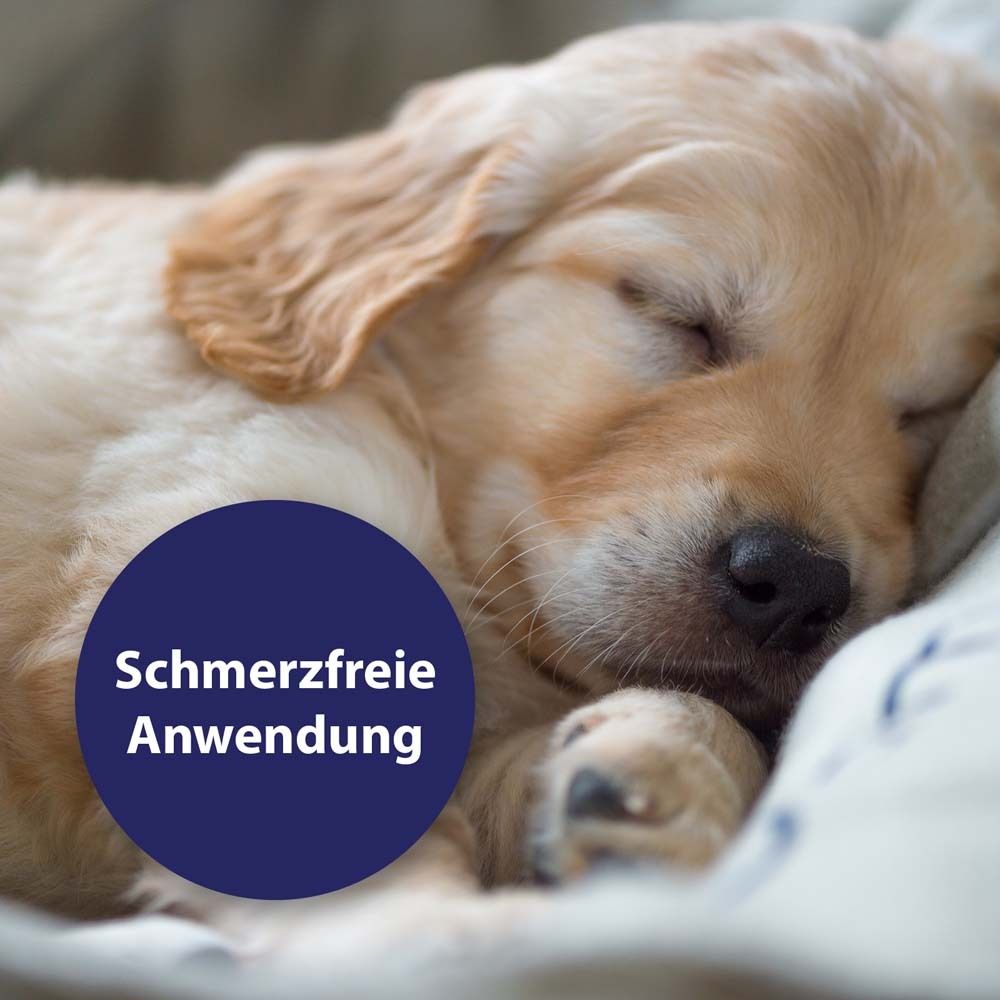 Canosept® Wondspray voor honden