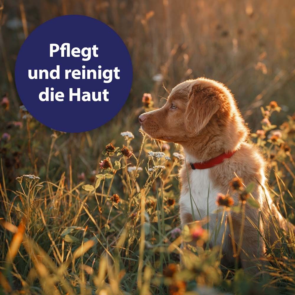 Canosept® Wondspray voor honden