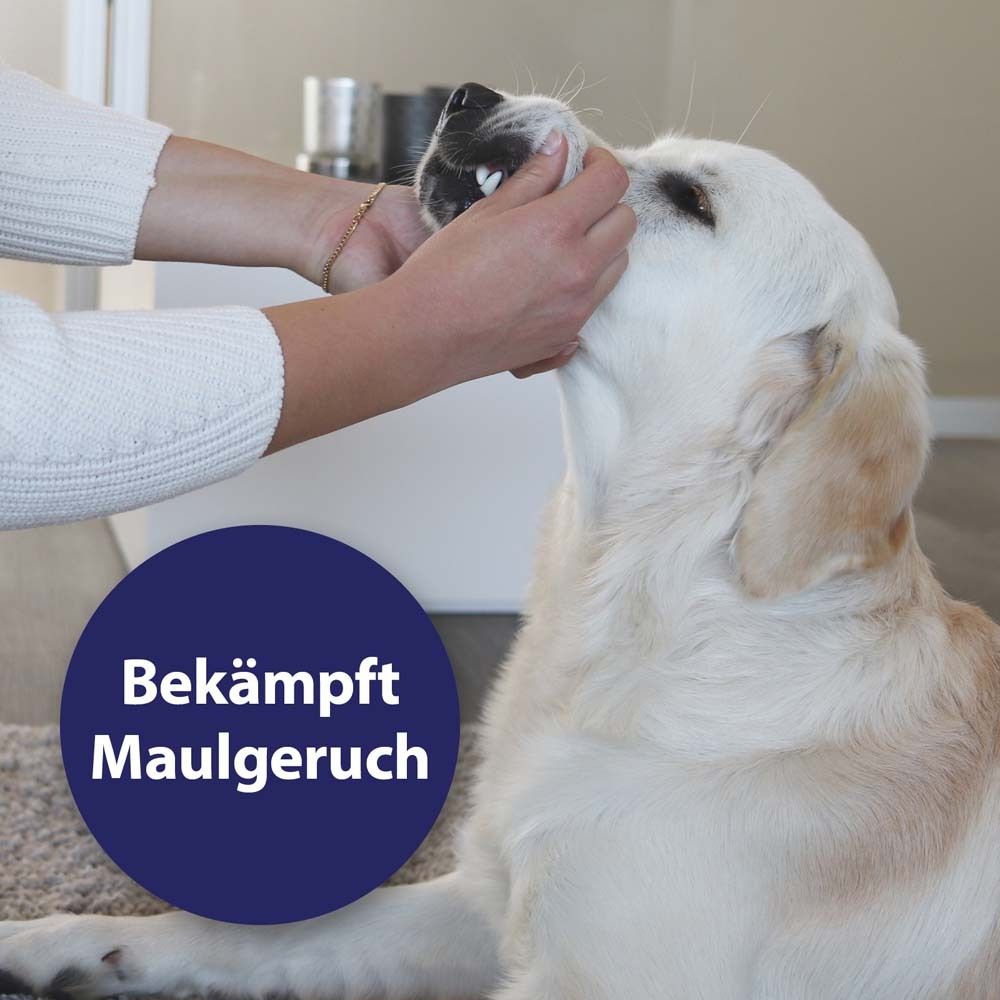 Canosept® Tandverzorgingsspray