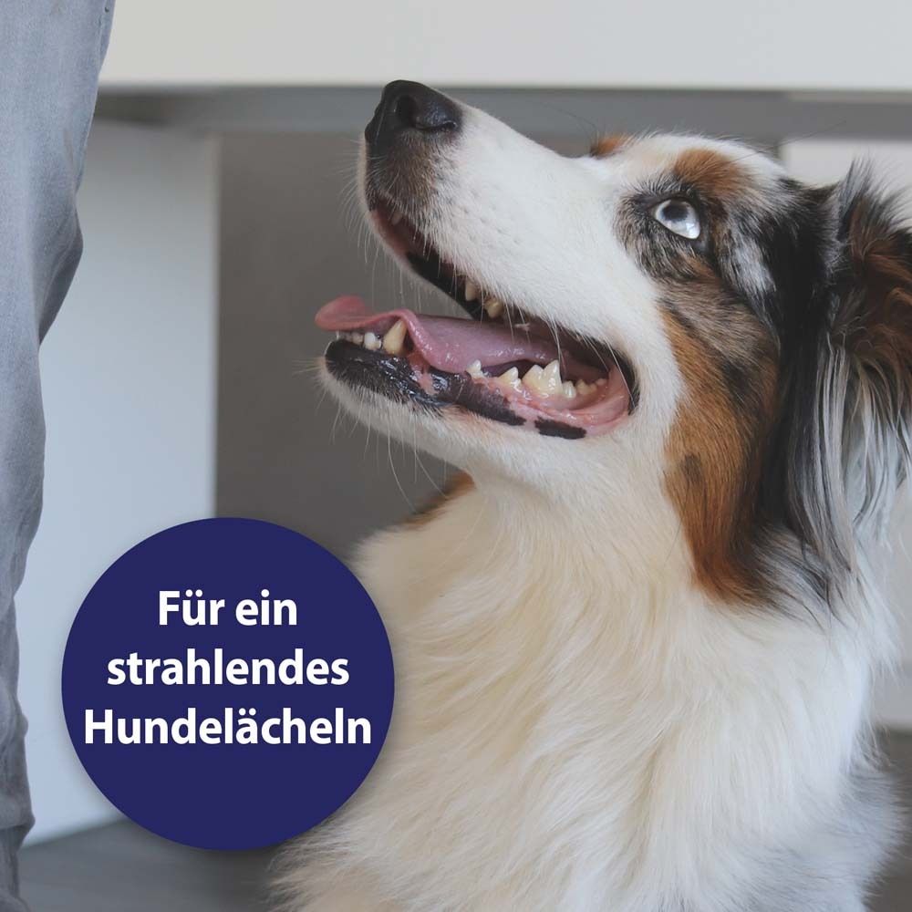 Canosept® Tandverzorgingsspray