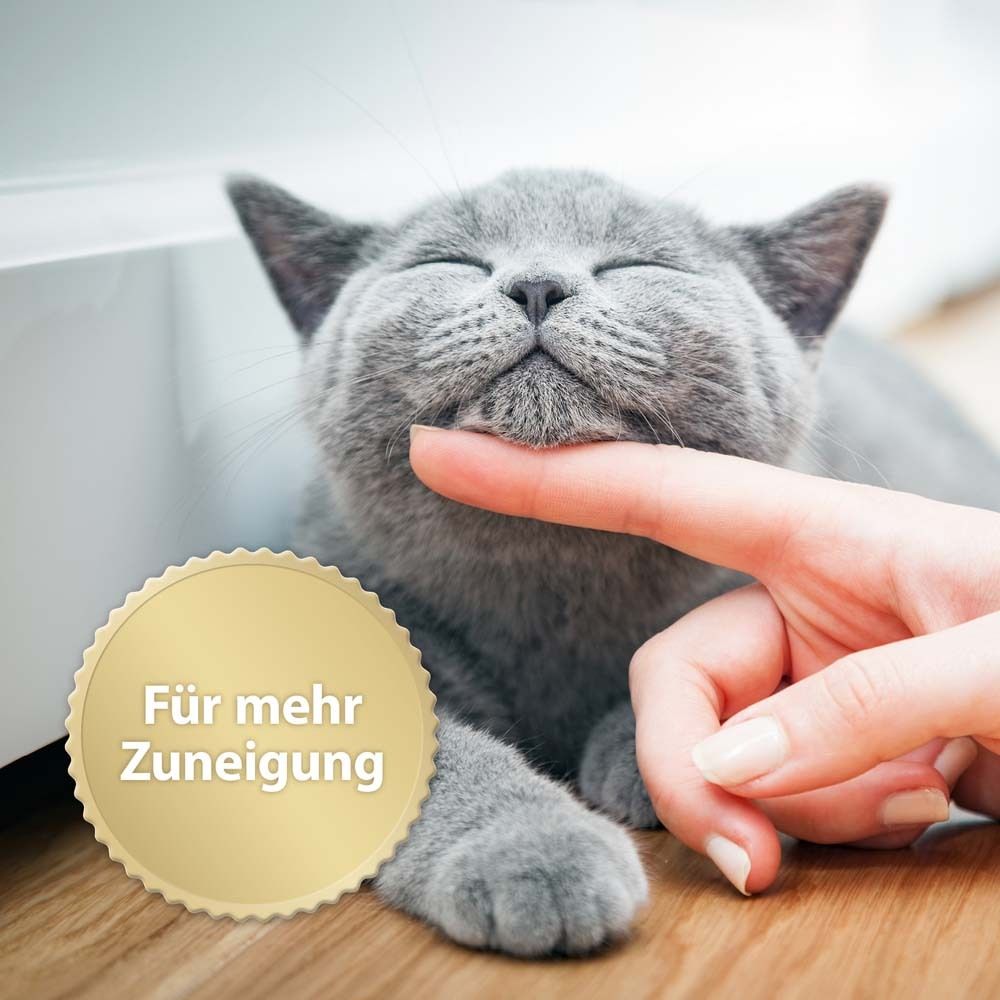 Grijze kat die door een hand op de kin wordt geaaid. Sticker met tekst: Voor meer genegenheid.