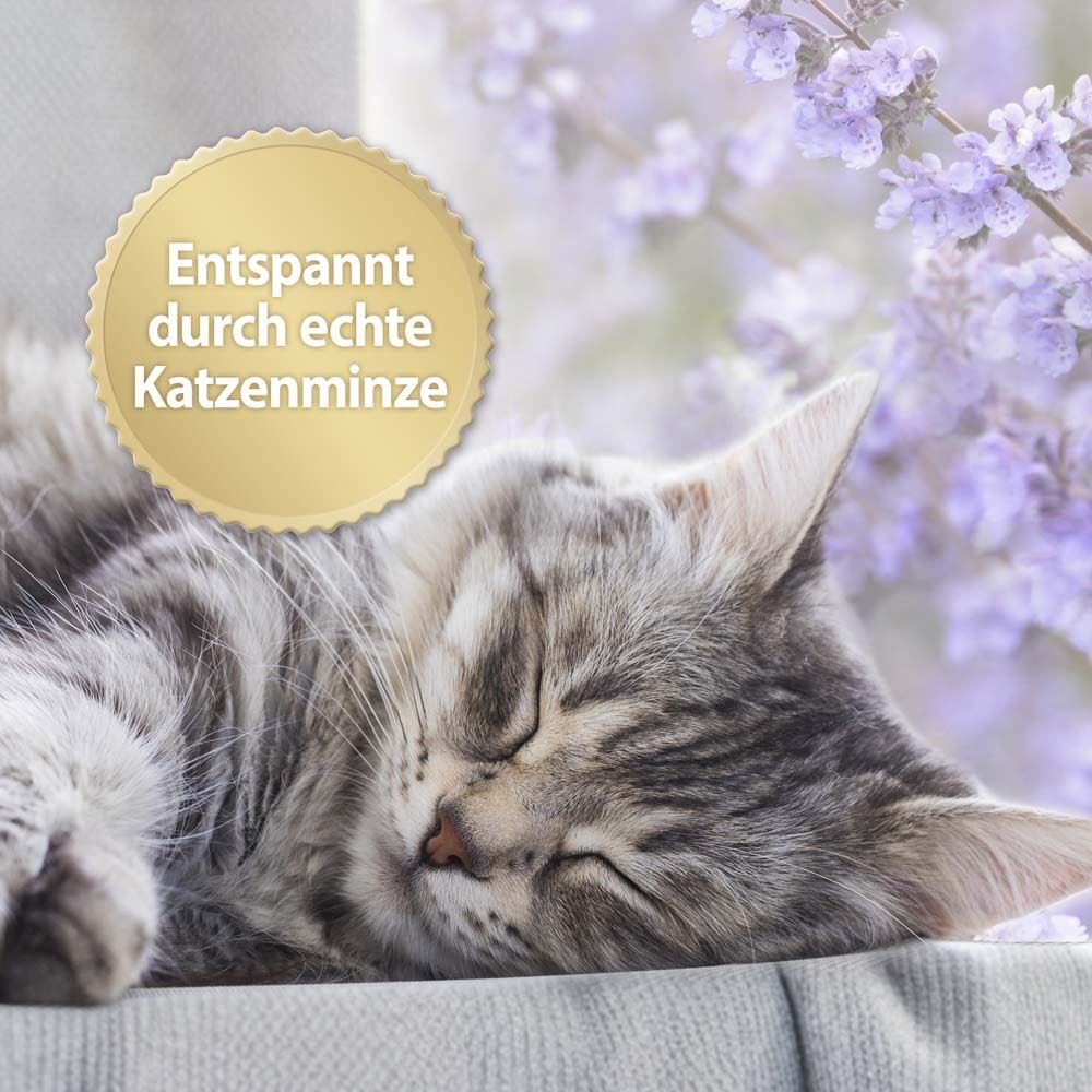 Chat endormi. Sceau doré avec texte : "Détendu grâce à la vraie herbe à chat". Fond : fleurs lilas.