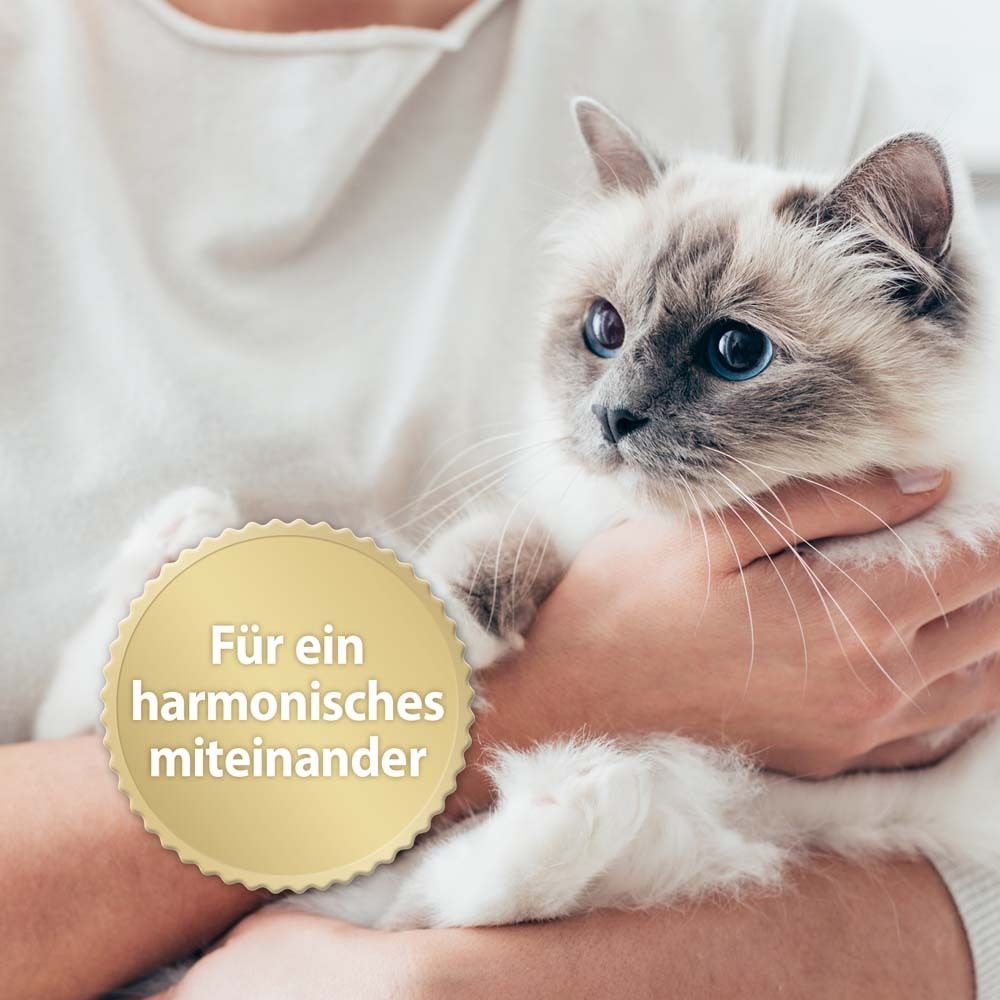 Chat tenu dans les bras. Sceau doré avec texte : "Pour une coexistence harmonieuse".