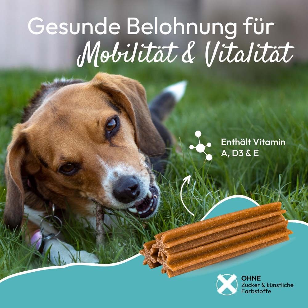 Hond kauwt op een bruine dentalstick in het gras. Bevat vitamine A, D3, E. Zonder suiker.