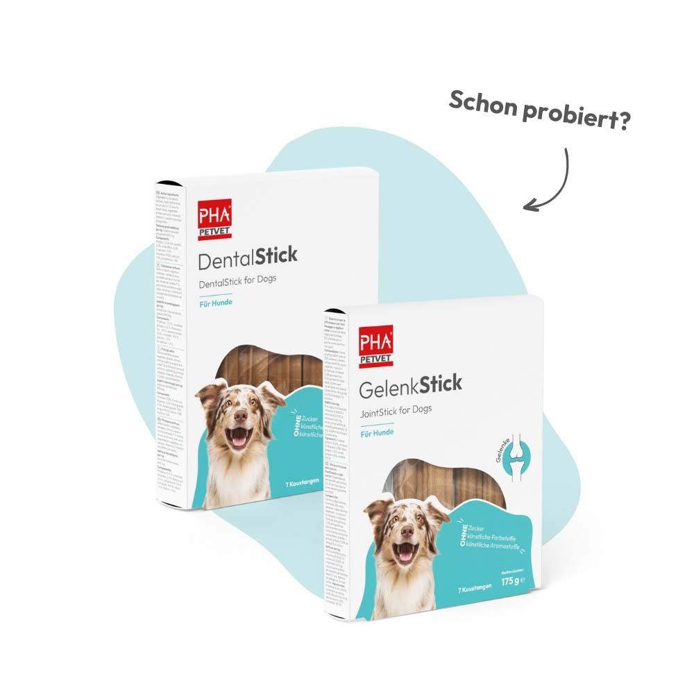 Hond kauwt op een bruine dentalstick in het gras. Bevat vitamine A, D3, E. Zonder suiker.