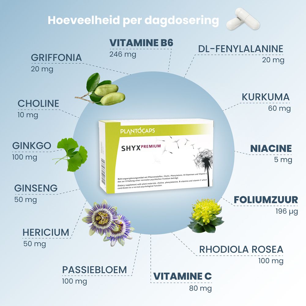Overzicht van de ingrediënten van SHYXPREMIUM capsules.