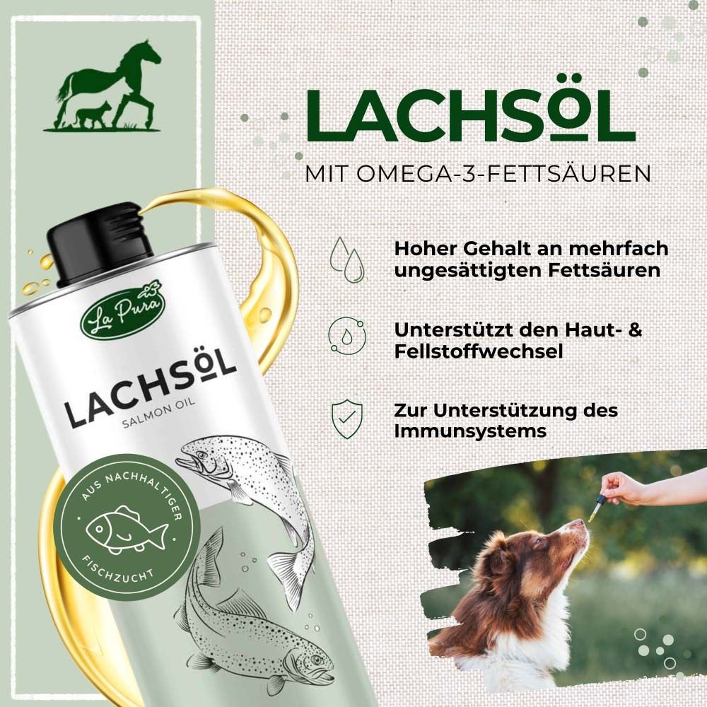 Boîte de Lachsöl et texte. Inscription : Lachsöl. Illustration de poissons. Chien mange. Fond avec gouttes d'huile.
