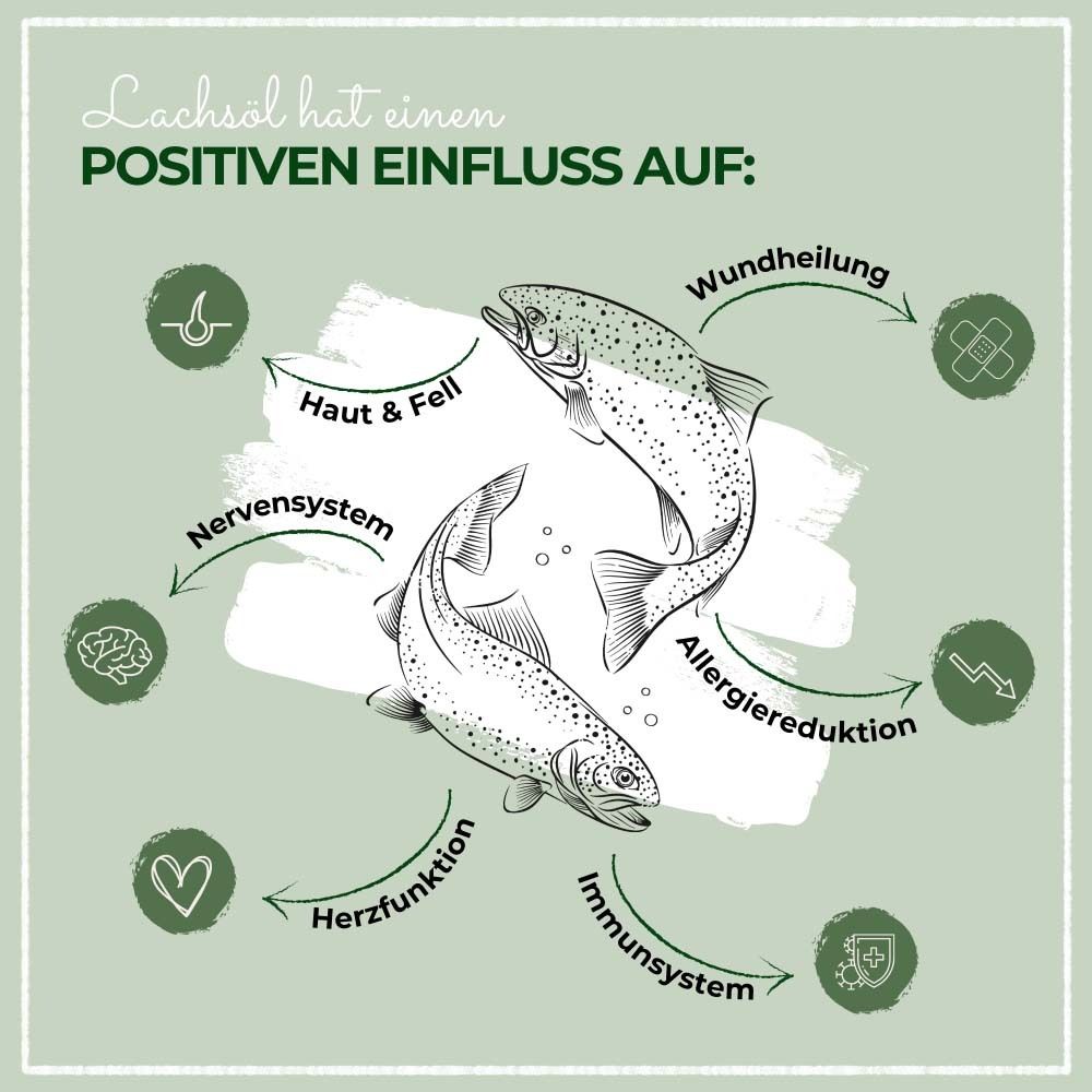 Graphique avec illustrations. Montre les effets positifs de l'huile de saumon sur la santé. Illustrations de poissons.