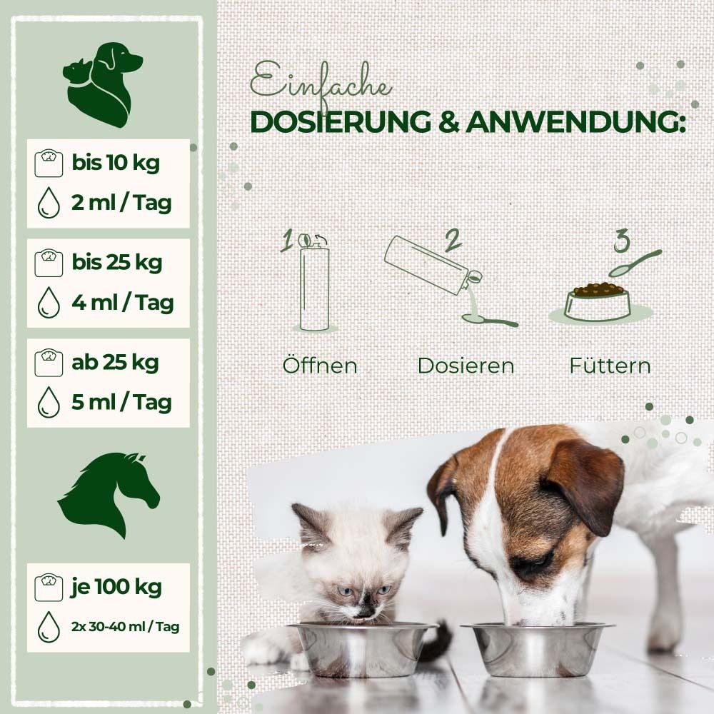 Graphique avec instructions de dosage. Montre le dosage pour chiens, chats et chevaux. Illustrations d'animaux.