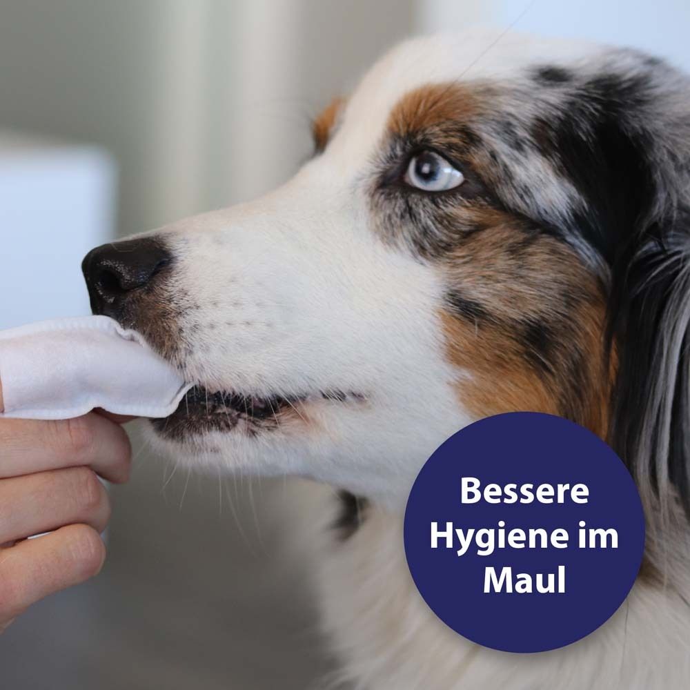 Canosept® hygiène dentaire coussinets pour doigts pour chiens