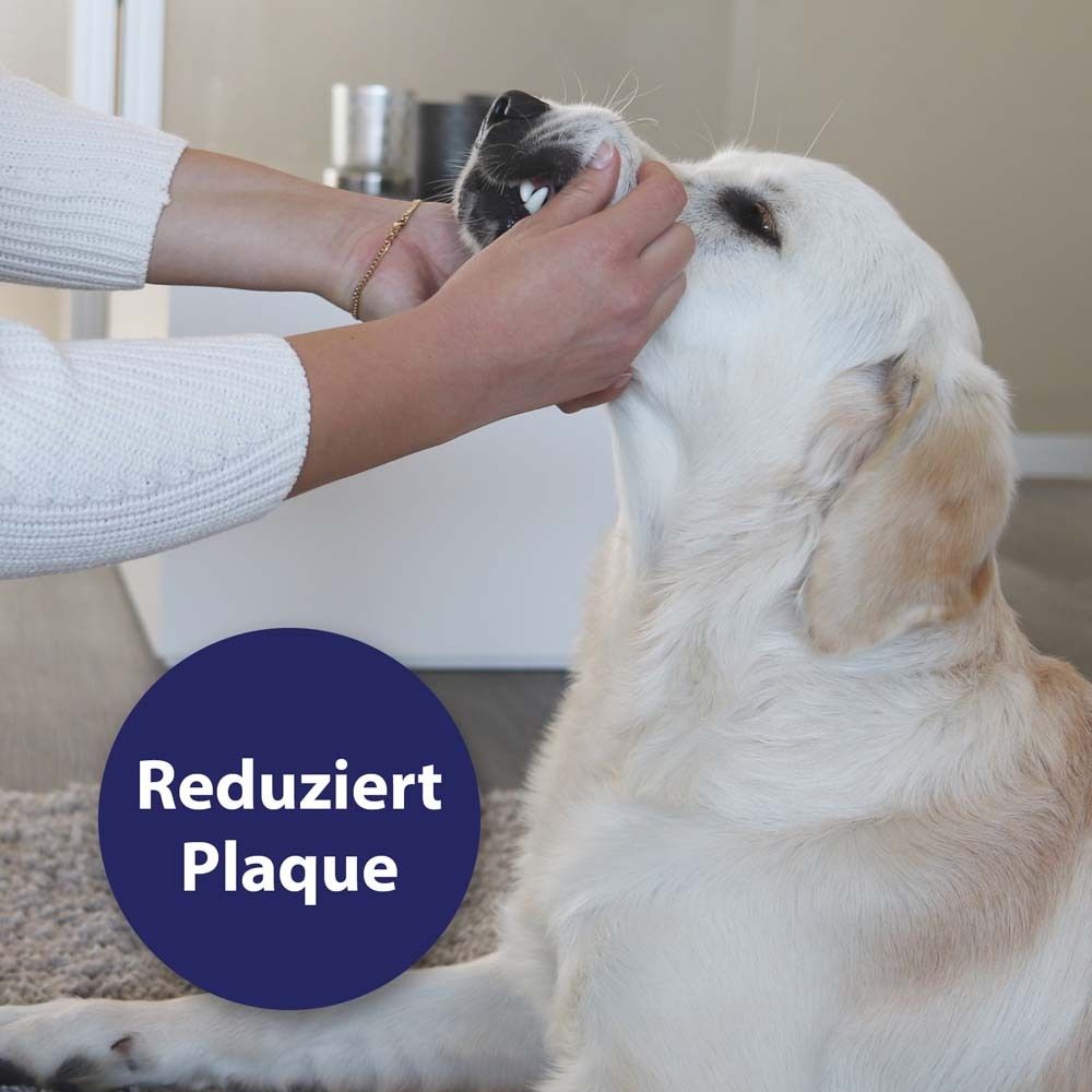 Canosept® hygiène dentaire coussinets pour doigts pour chiens