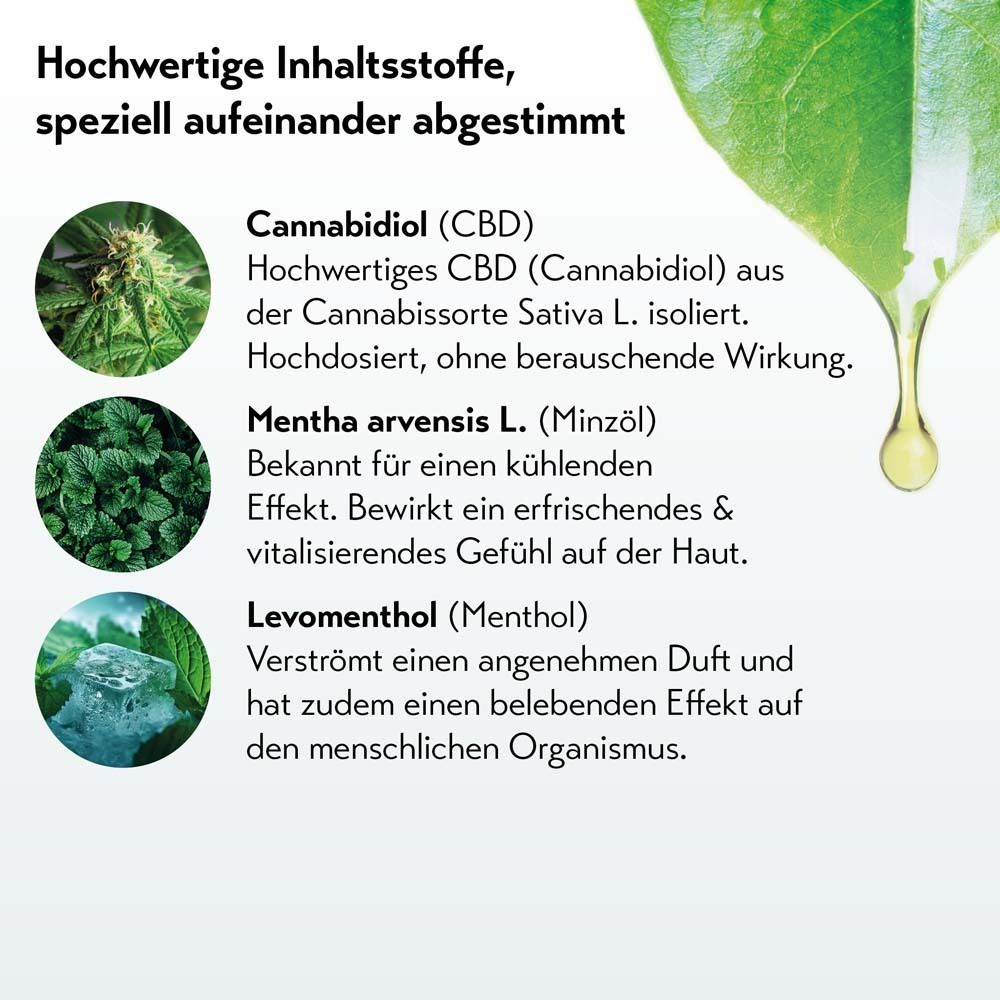 Ingrédients: Cannabidiol (CBD), Mentha arvensis L. (huile de menthe), Levomenthol (Menthol). Texte sur les ingrédients et leurs effets.