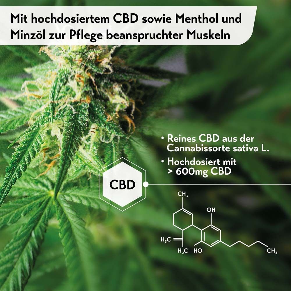 Gros plan sur une plante de cannabis. Texte: Avec du CBD fortement dosé ainsi que du menthol et de l'huile de menthe pour les muscles sollicités.