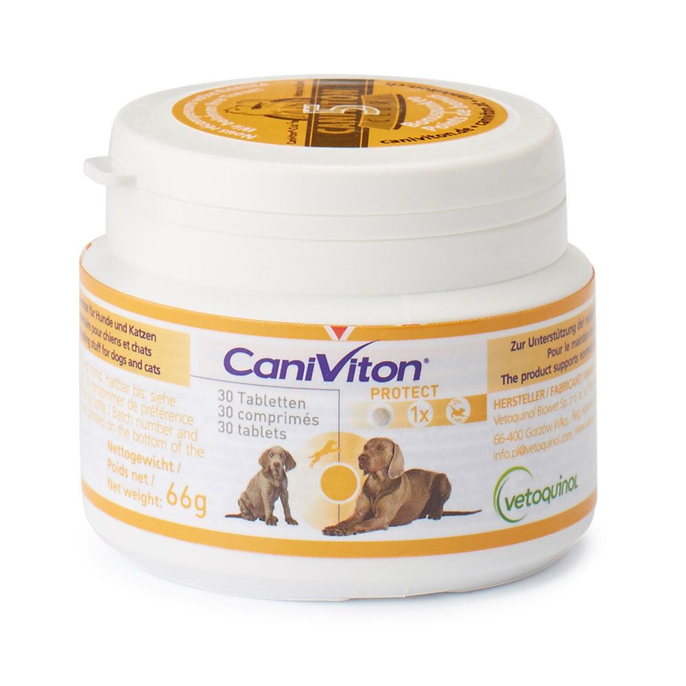 Boîte blanche avec étiquette jaune. Inscription CaniViton PROTECT, 30 comprimés. Illustration de chiens. Logo Vetoquinol.