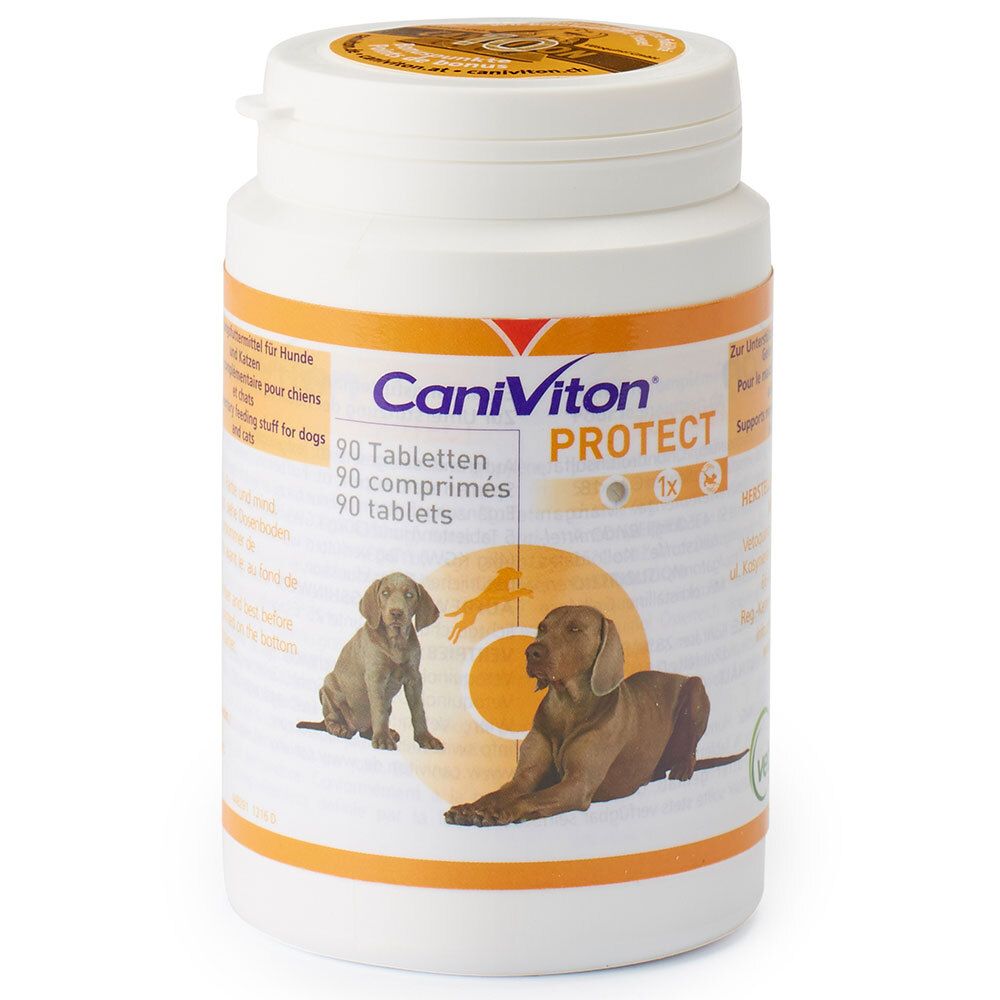 Witte pot met CaniViton PROTECT-label. Bevat 90 tabletten. Afbeelding van twee honden.