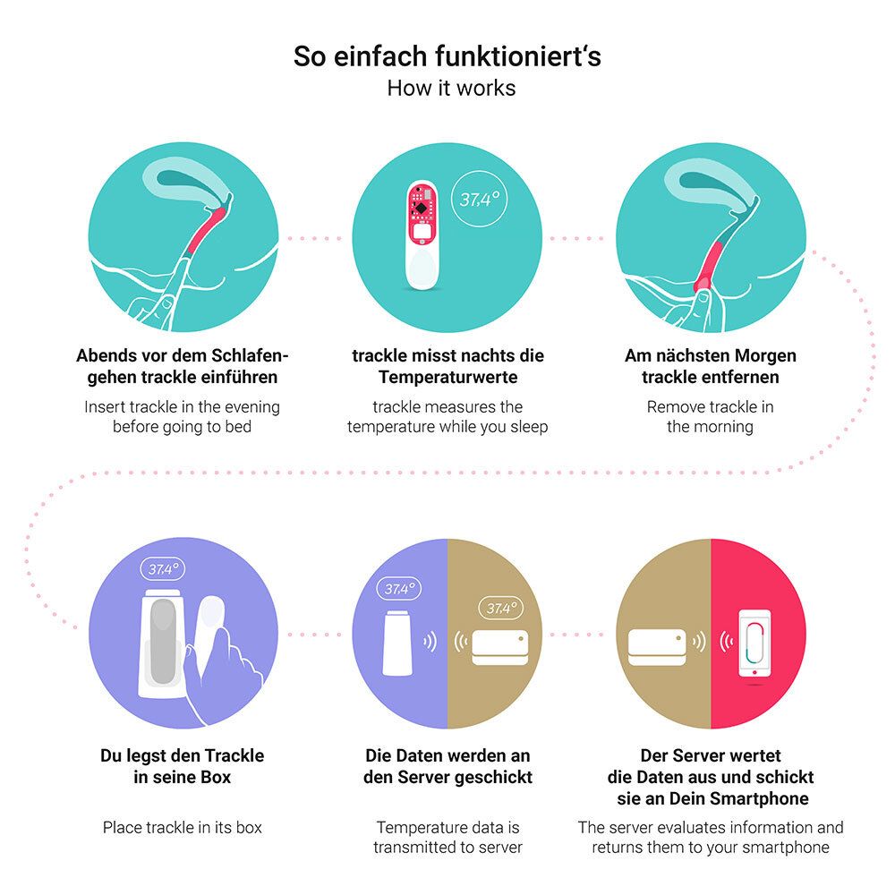 Grafiek: Gebruik van trackleCatch. Stappen: Inbrengen, temperatuur meten, gegevens verzenden, evalueren.