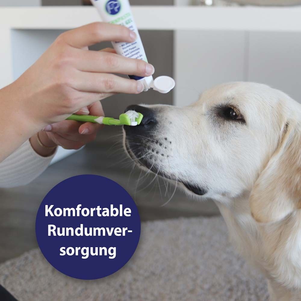 Canosept® Set de soins dentaires pour chiens