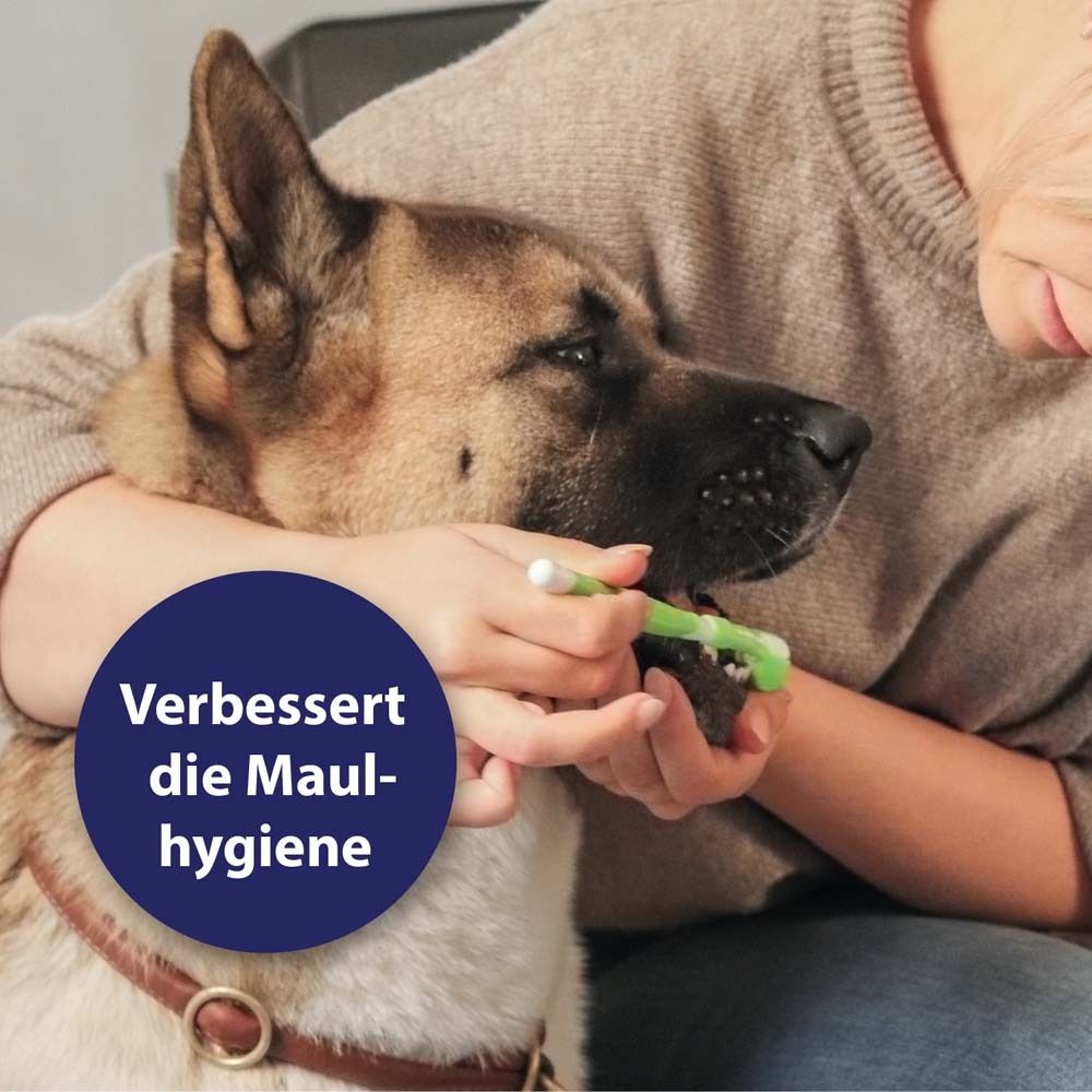 Canosept® Set de soins dentaires pour chiens