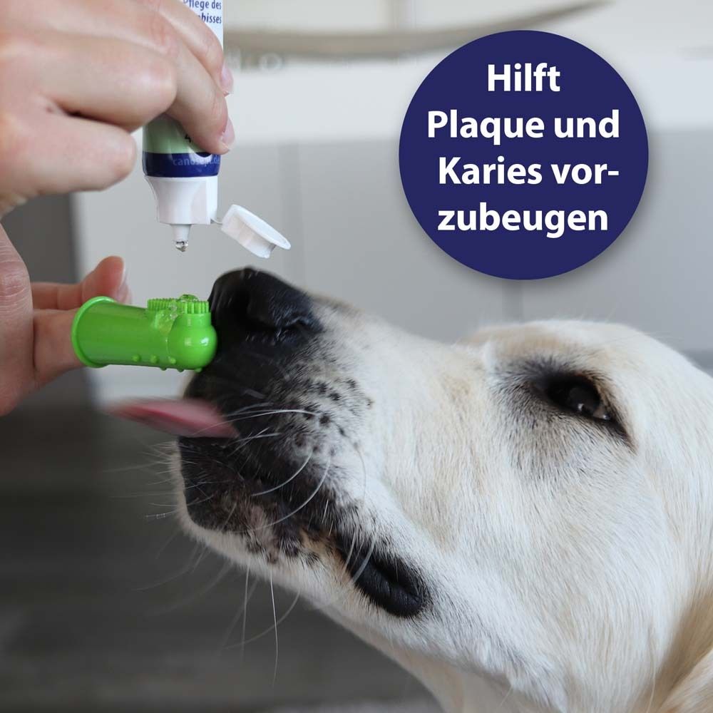Canosept® Brosse à dents à doigts pour chiens