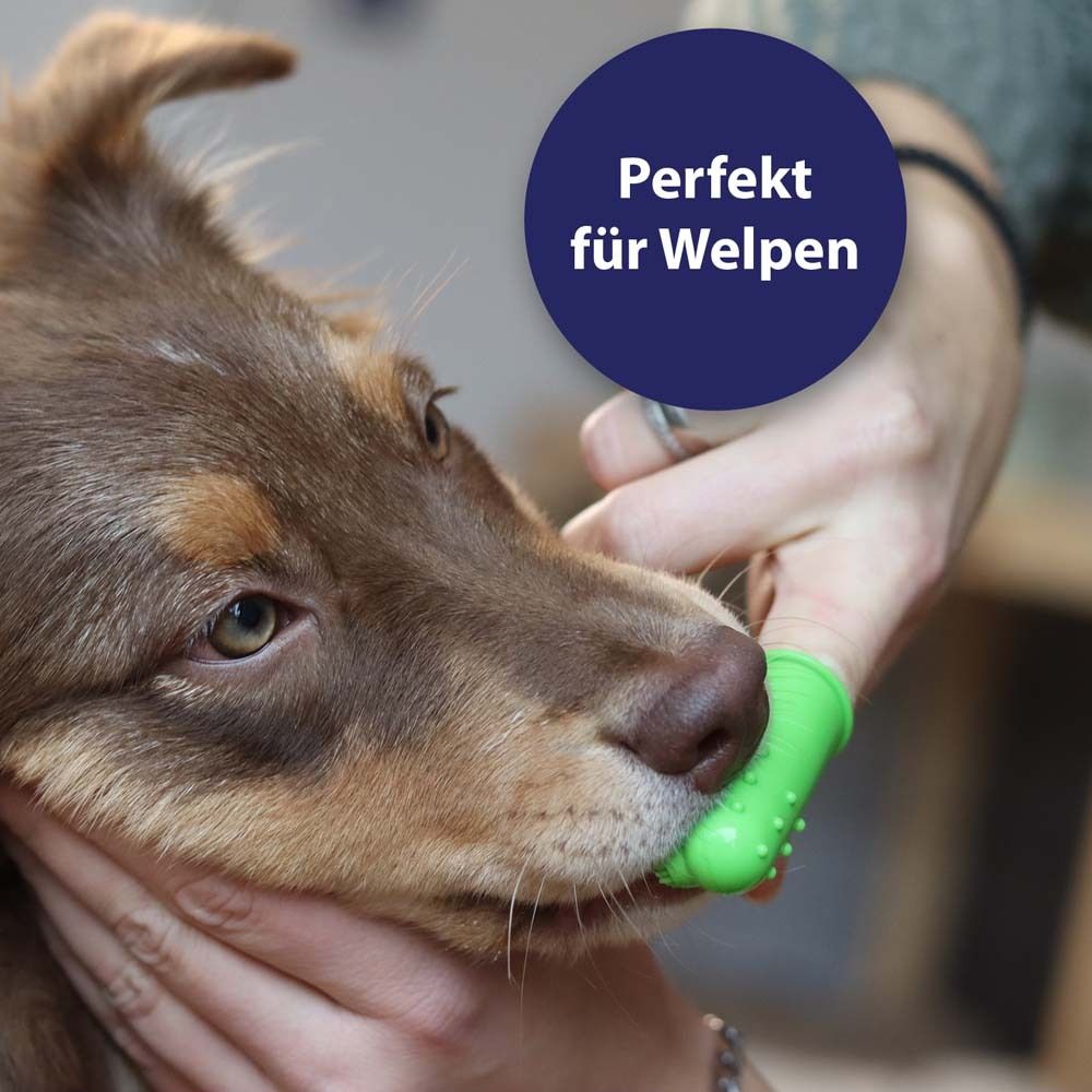 Canosept® Brosse à dents à doigts pour chiens