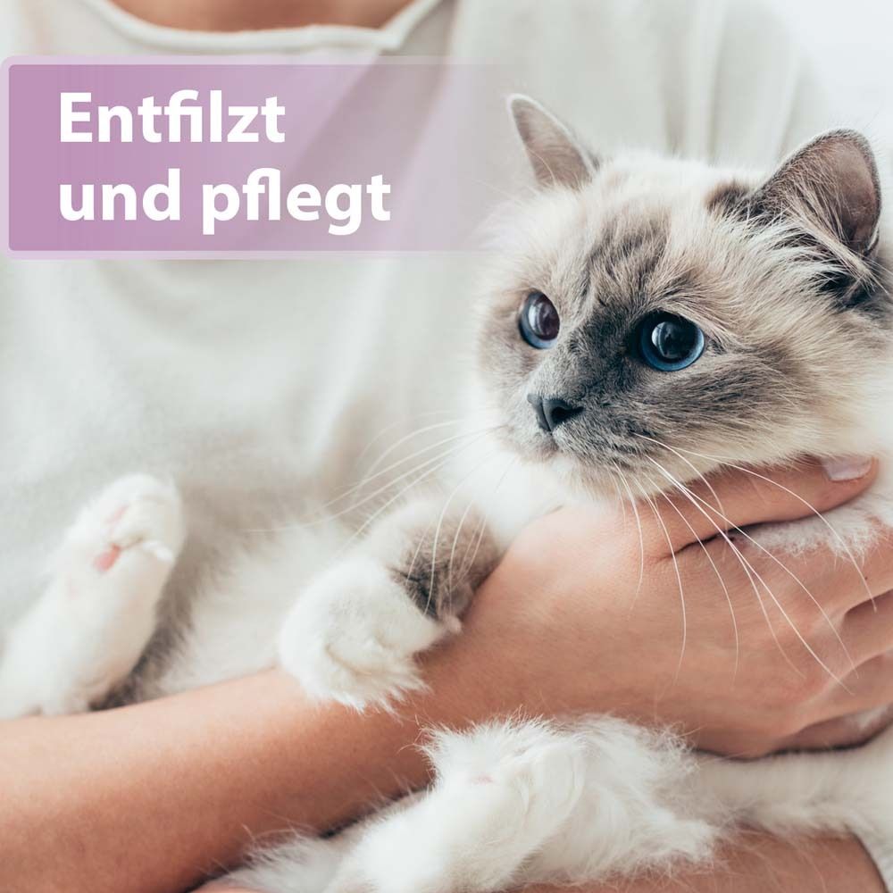 Chat tenu par une personne. Texte : Démêle et prend soin.