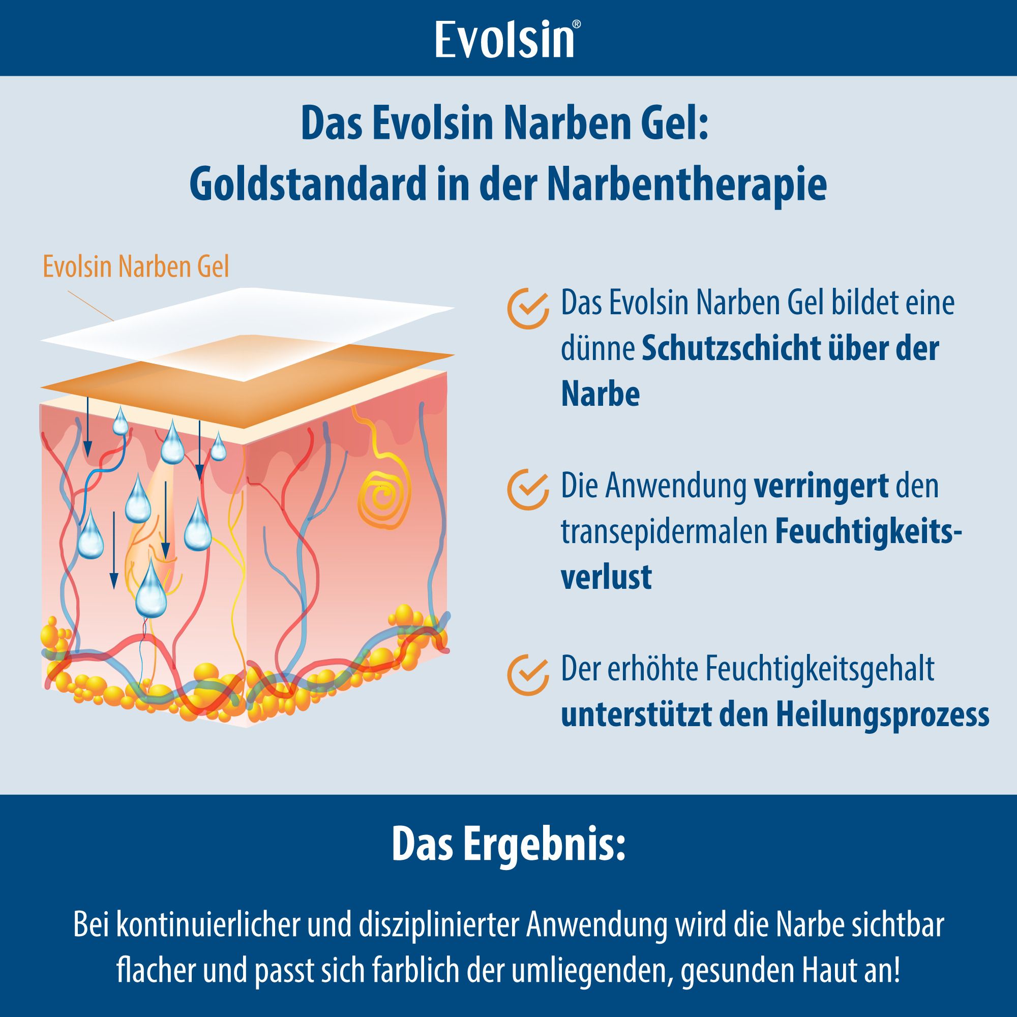 Afbeelding: Evolsin Narbengel vormt een beschermlaag, vermindert verkleuring.