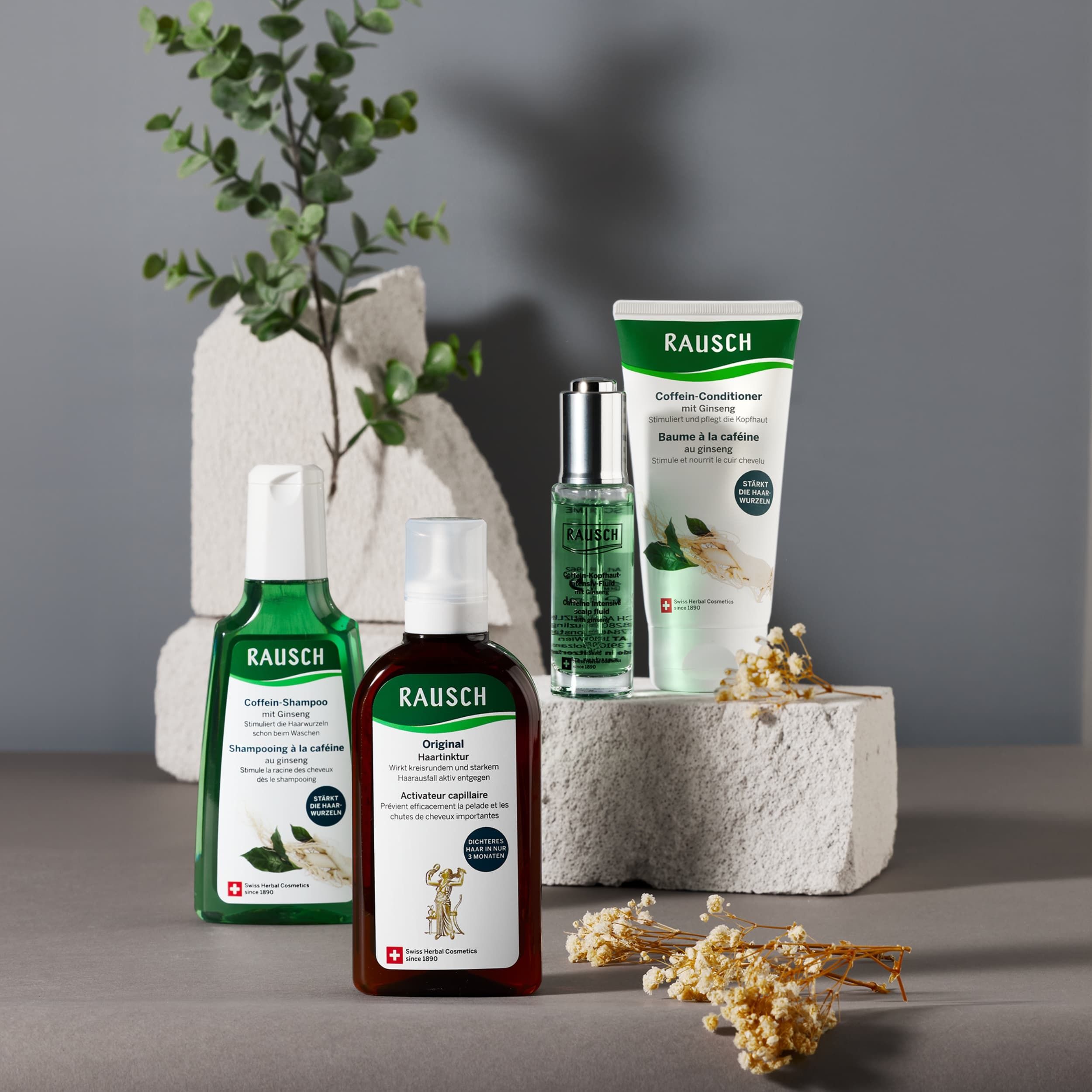 Produits capillaires Rausch : shampoing, après-shampoing, élixir et traitement capillaire en flacons et tubes.