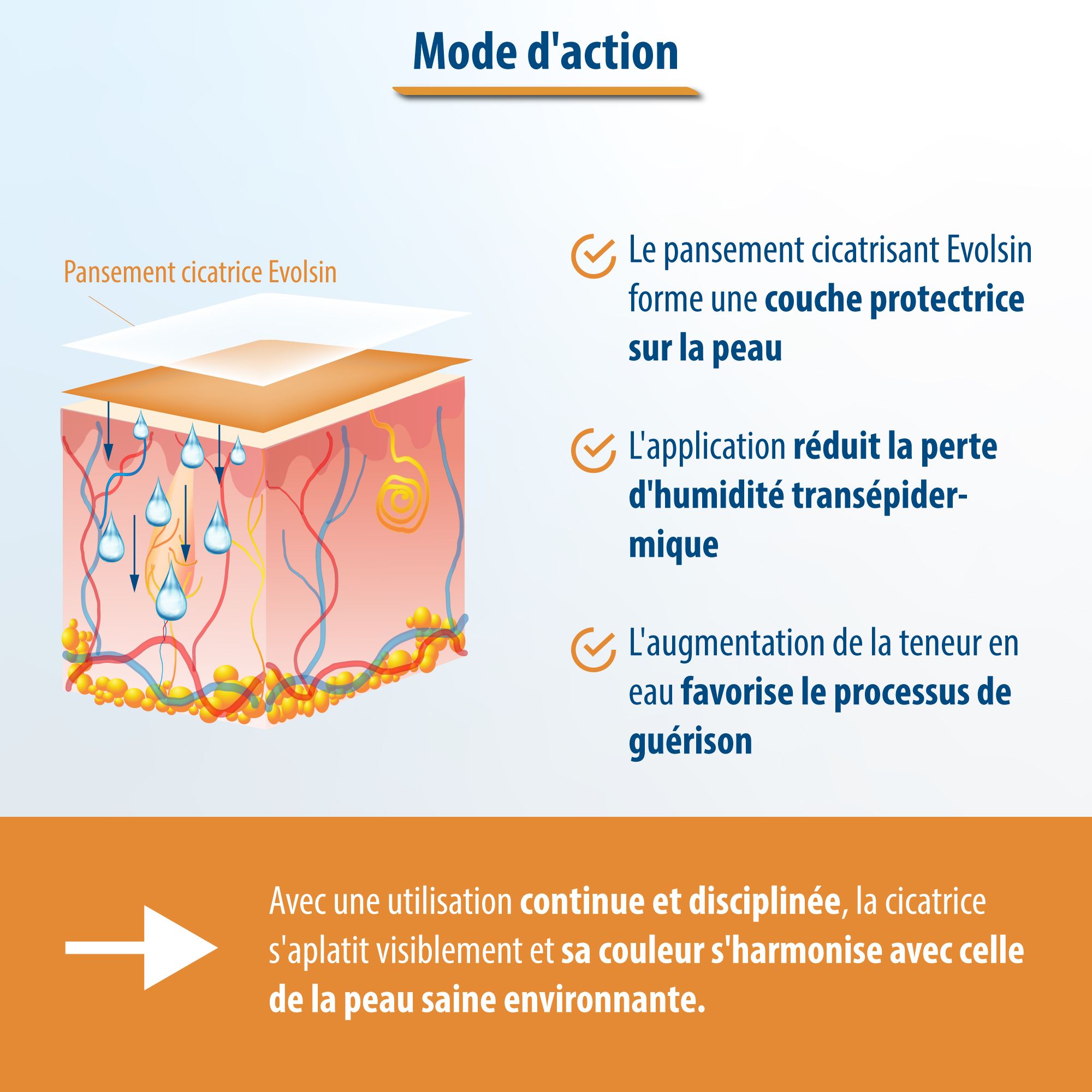 Diagramme : Evolsin forme une couche protectrice. Réduit la perte d'humidité. Favorise la guérison. Cicatrices plus plates.