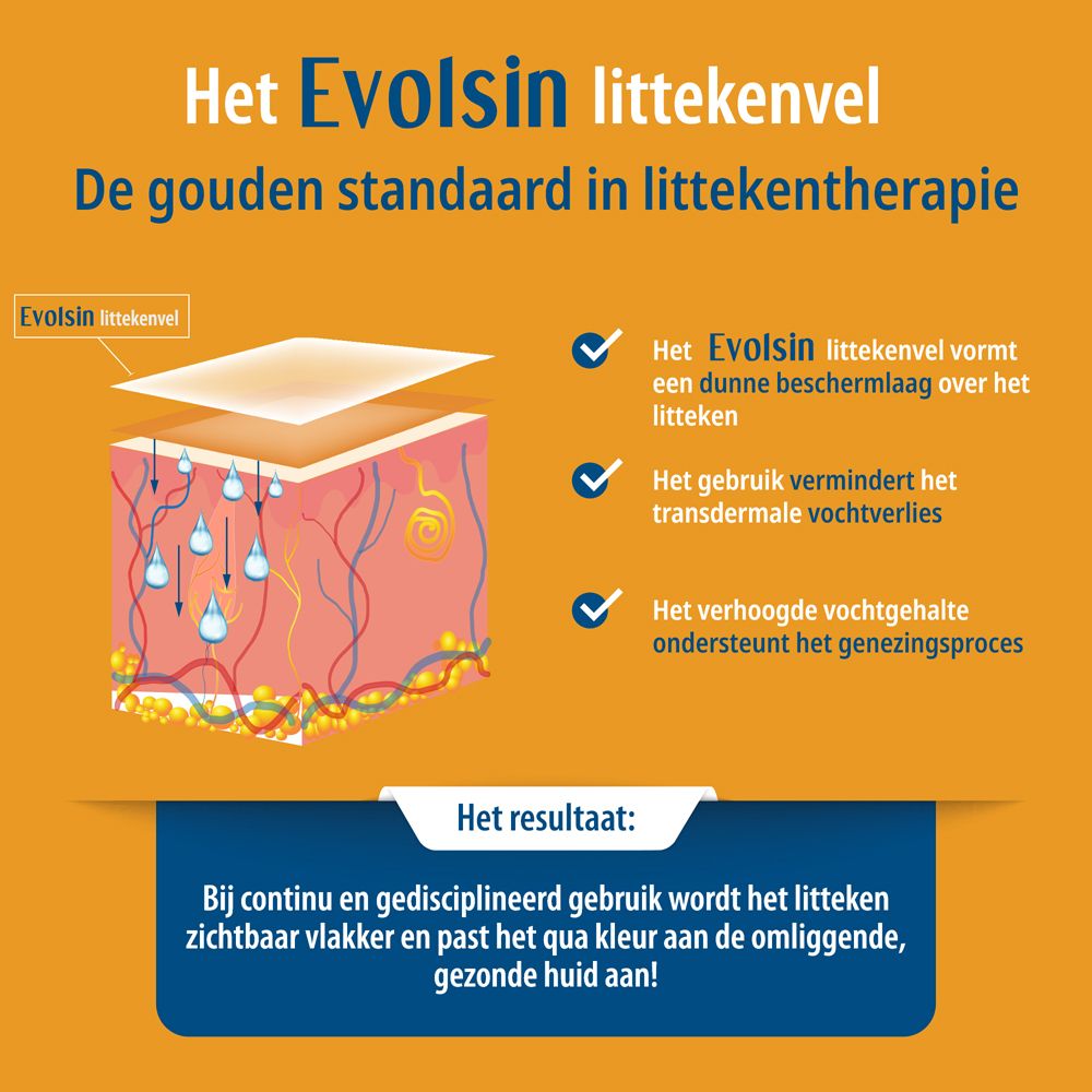 Schema: Evolsin littekenvel vormt beschermlaag, vermindert vochtverlies.