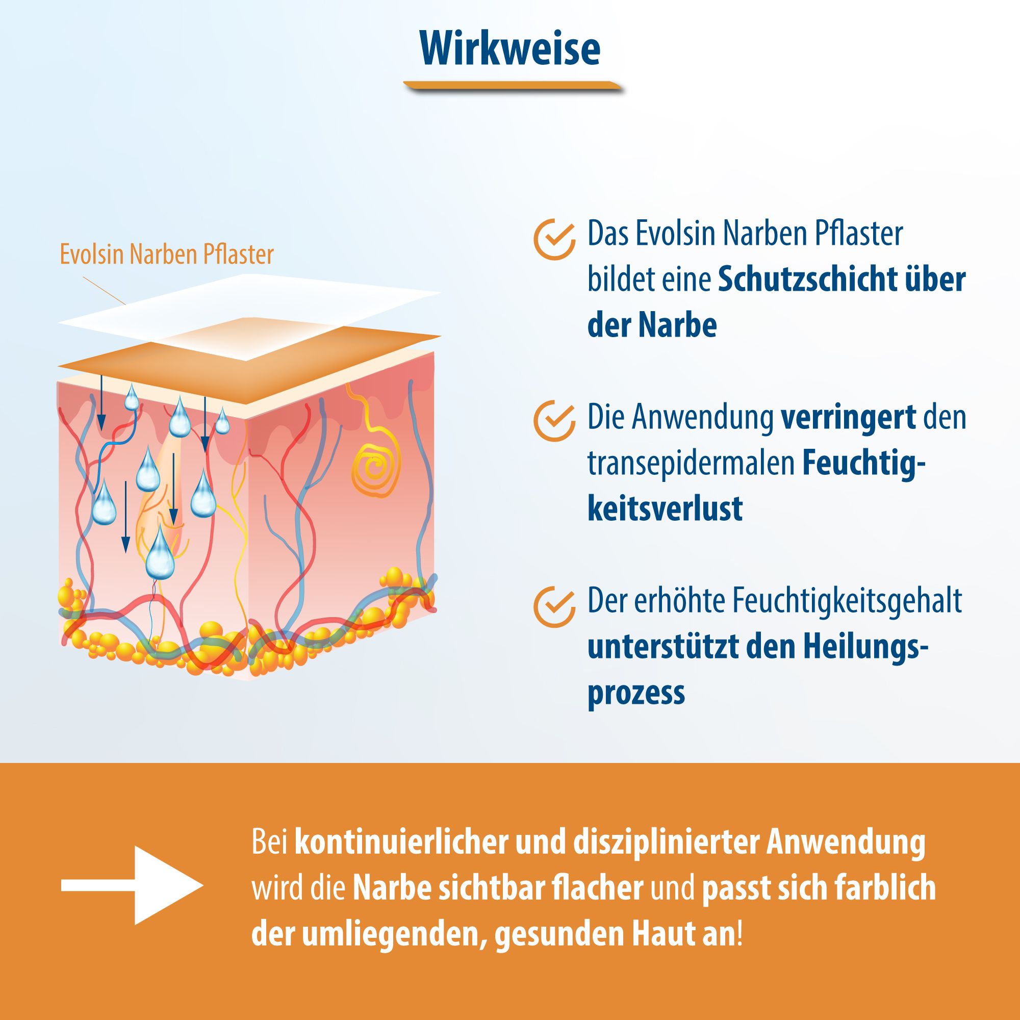 Diagramme : Evolsin forme une couche protectrice. Réduit la perte d'humidité. Favorise la guérison. Cicatrices plus plates.