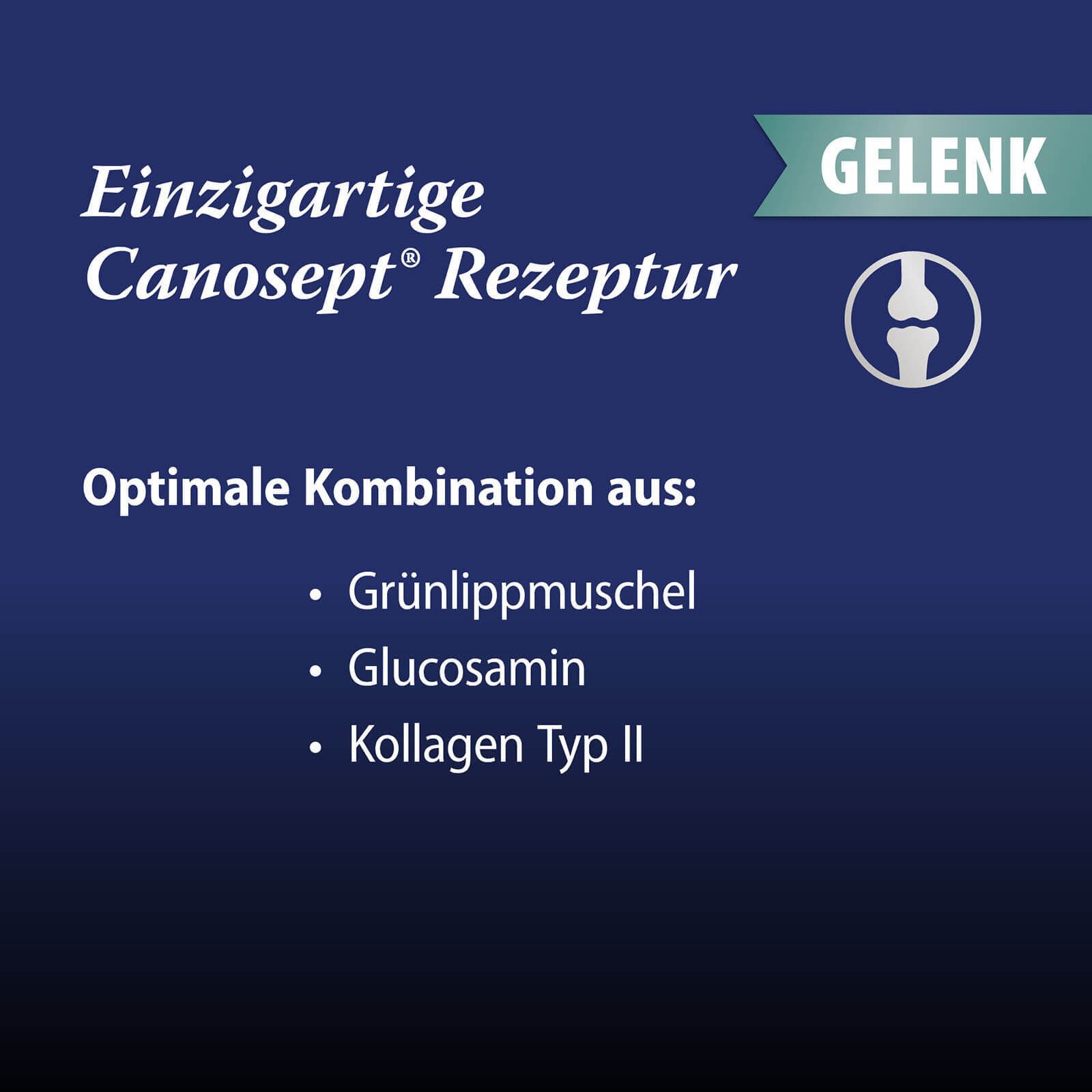 Canosept® Gewrichtstabletten