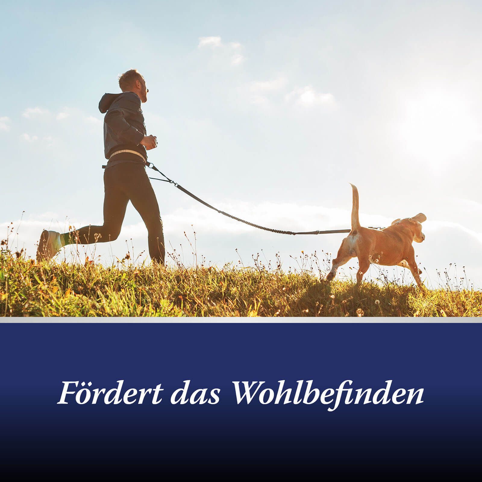 Canosept® Gewrichtstabletten