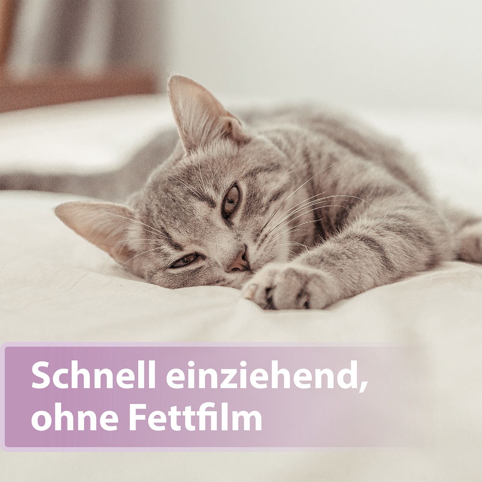 Felisept Pootverzorging voor katten