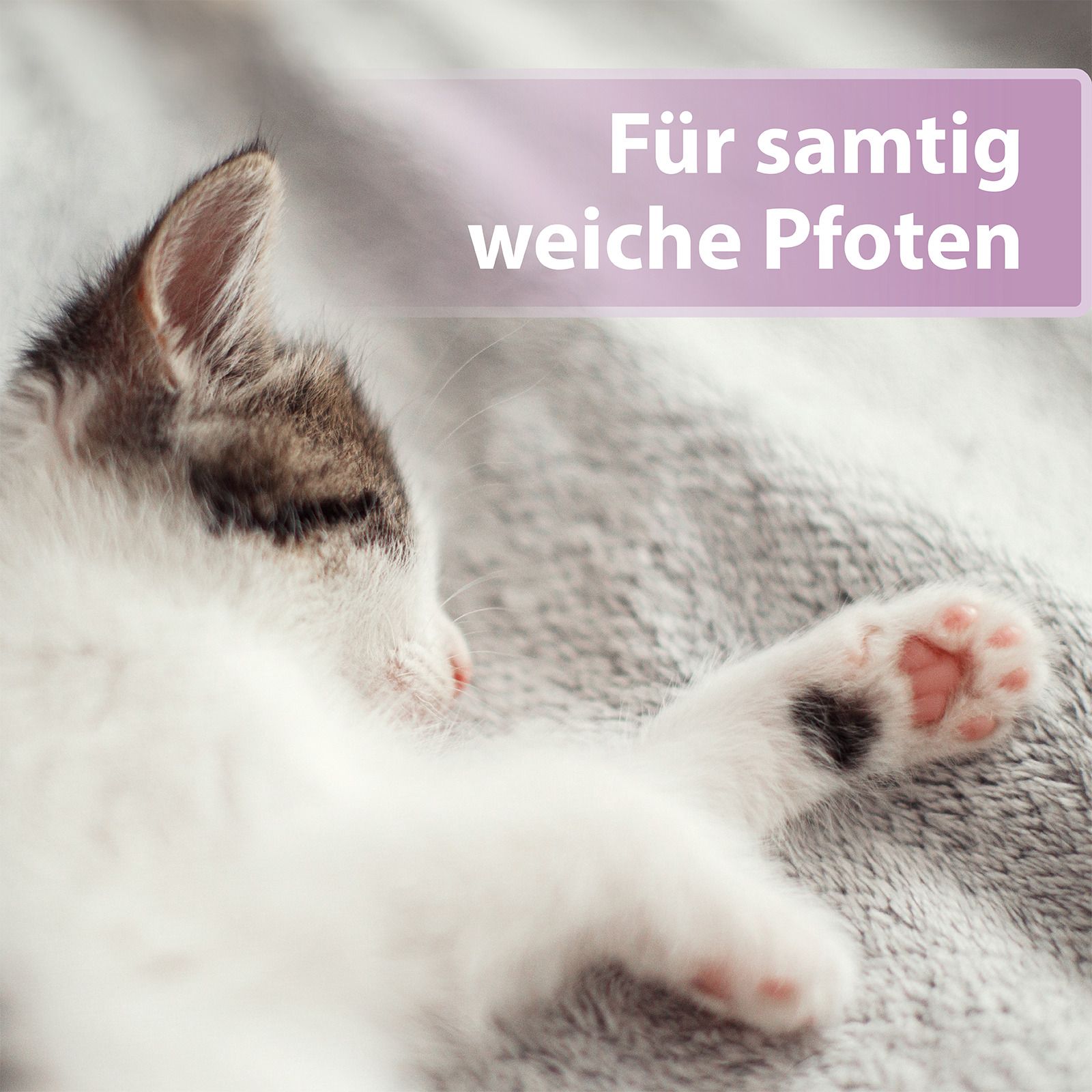Felisept Pootverzorging voor katten