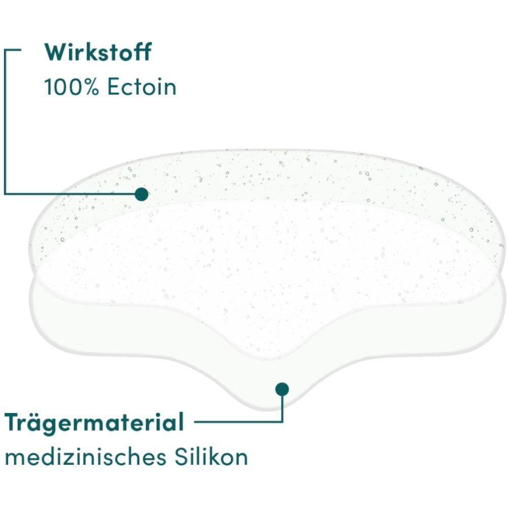 Coupe du tampon frontal. Ingrédient actif : 100% Ectoin. Matériau de support : silicone médical. Couches du tampon.