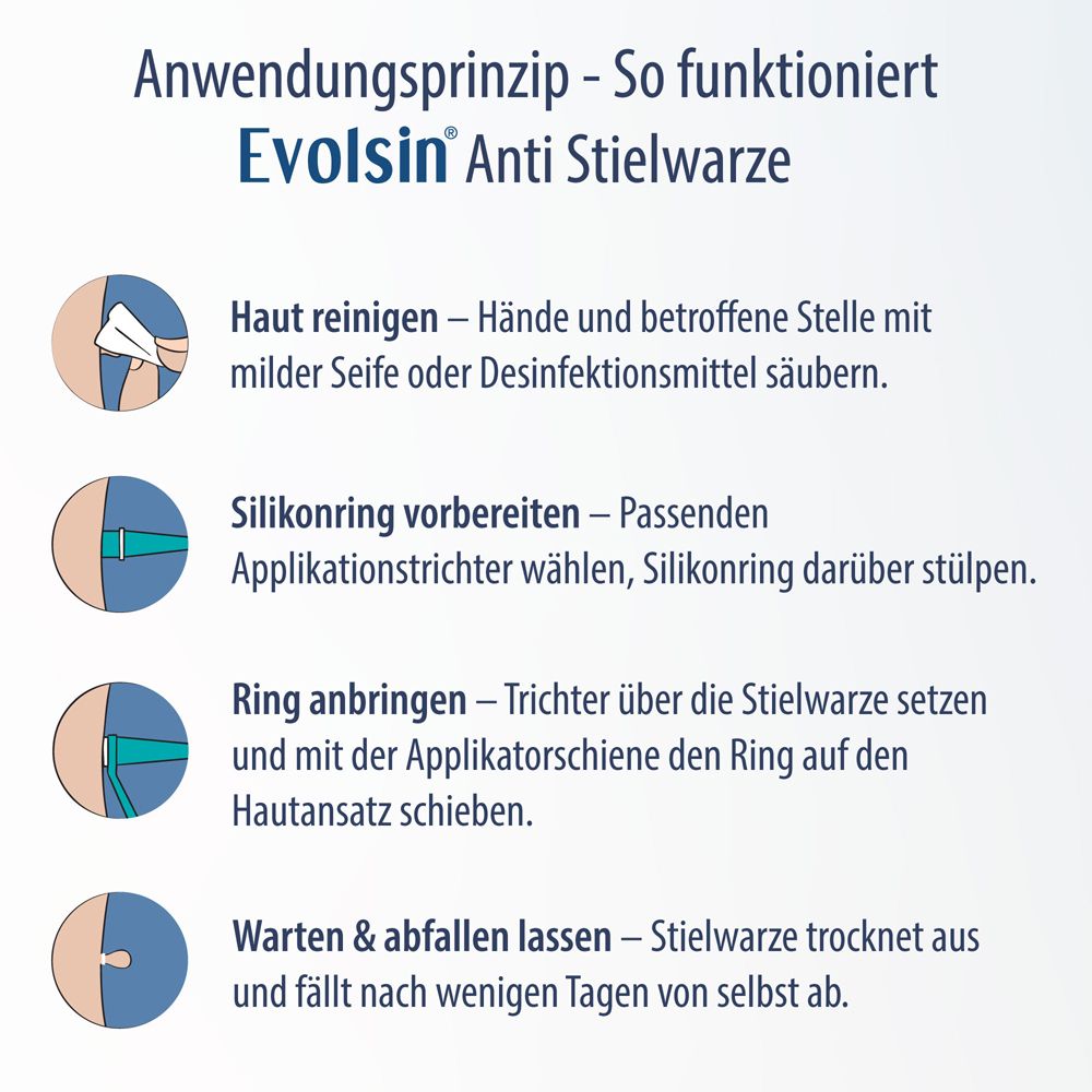 Infographic: Toepassing Evolsin Anti Stielwarze. Reinigen, ring aanbrengen, wachten.