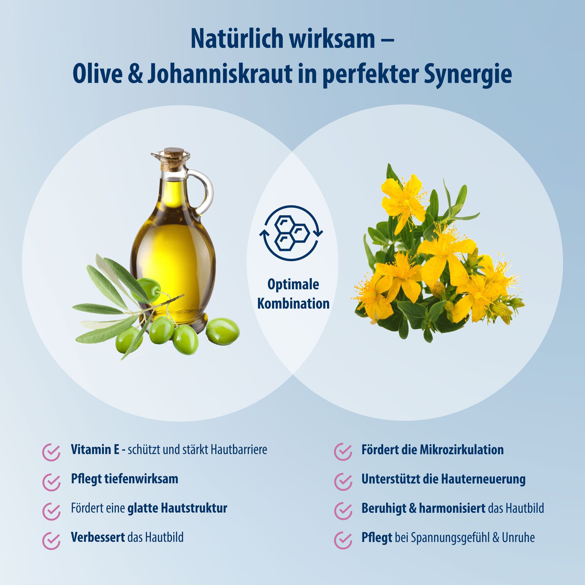 Infographic met olijfolie en Sint-Janskruid. Toont voordelen: vitamine E, gladde huid, verbetert huidbeeld, bevordert circulatie.