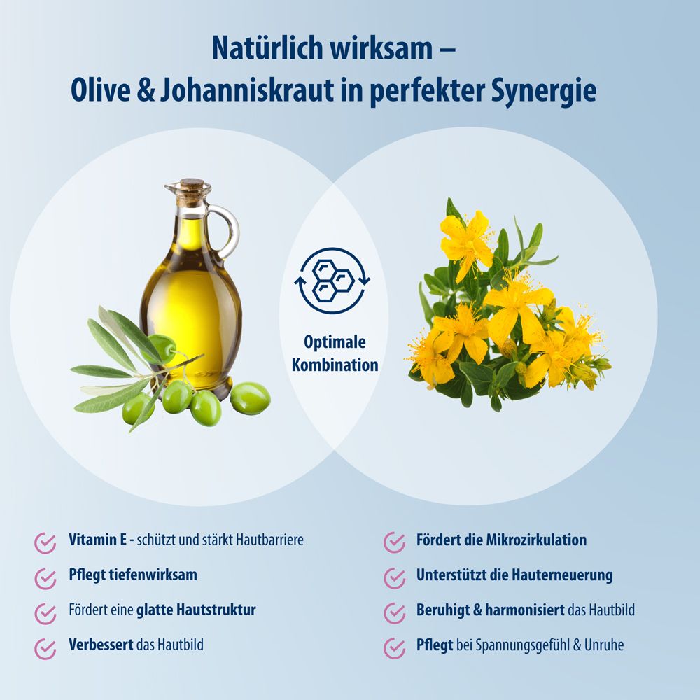 Infographic: olijven en sint-janskruid. Optimale combinatie. Voordelen voor de huid.