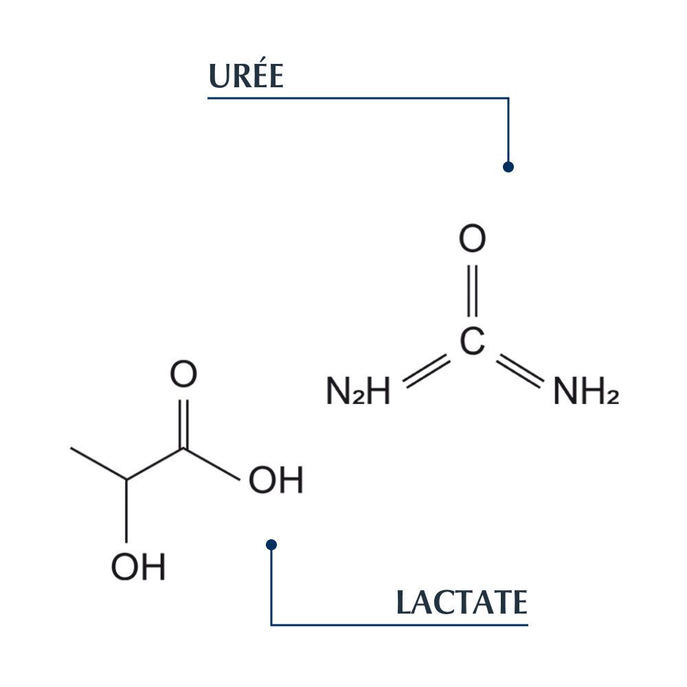 EUCERIN DERMOCAPILLAIRE CALMANT SHAMPOING URÉE Shampoing calmant à 5% d'urée + lactate. Fl