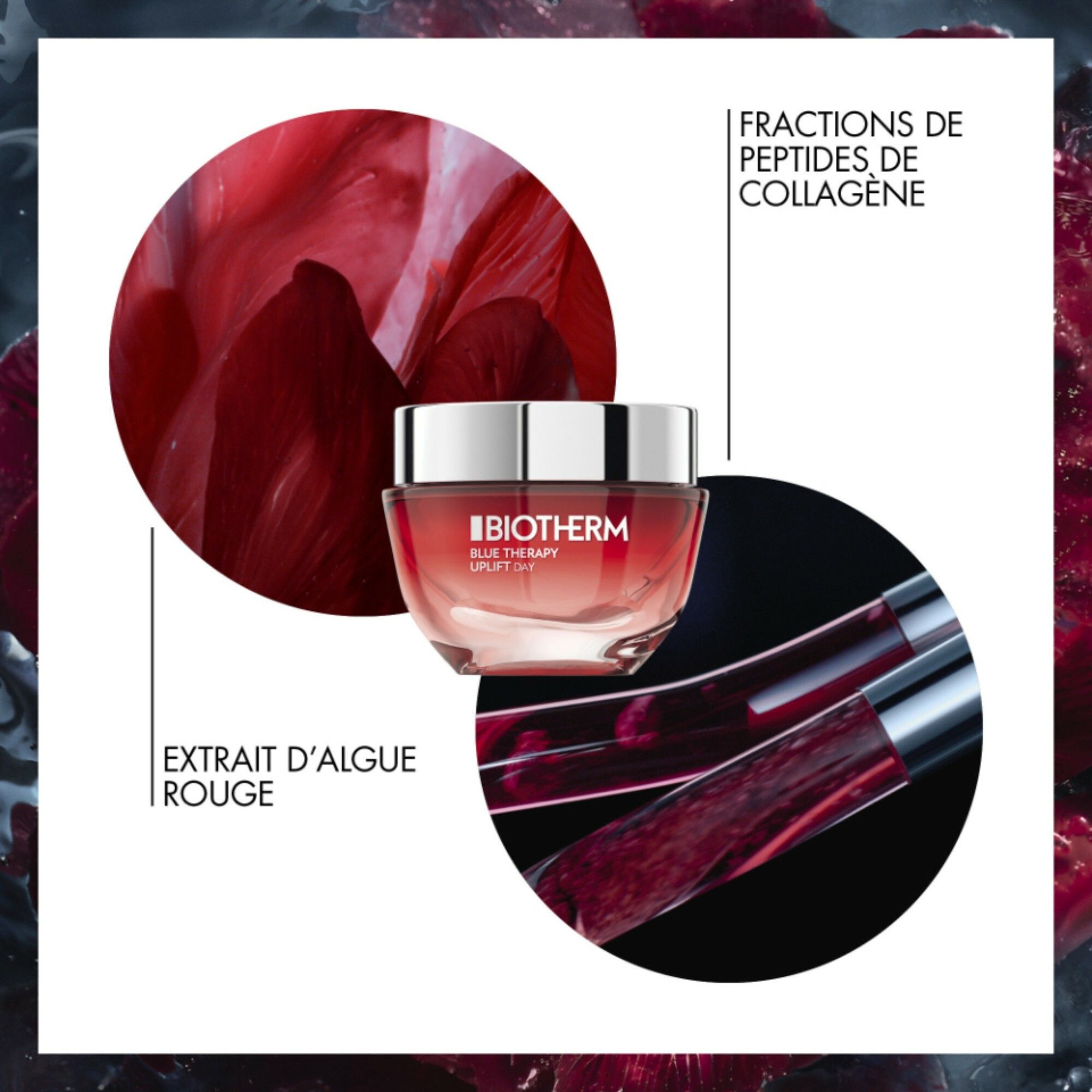 Biotherm Red Algue Uplift Cr 50ml