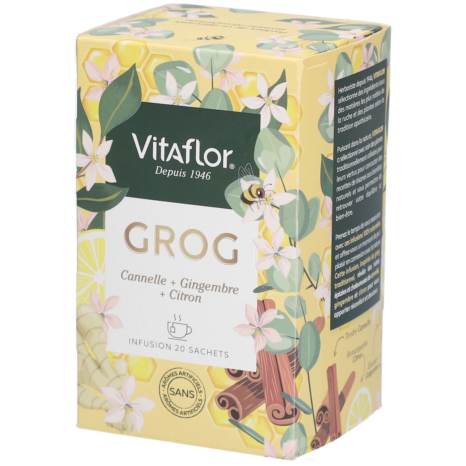 Boîte jaune Vitaflor Grog. Inscriptions : Cannelle, Gingembre, Citron. 20 sachets. Sans arômes artificiels. Dos avec texte.