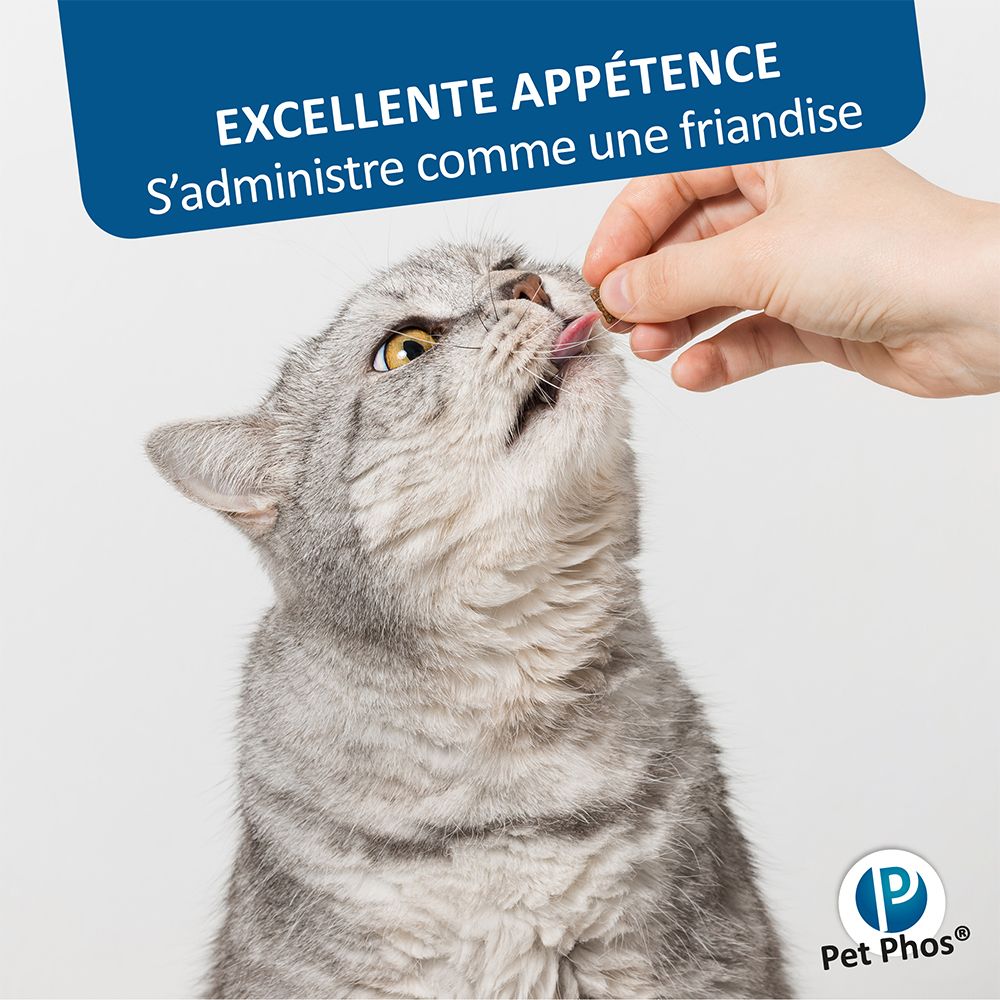 Kat neemt tablet uit hand. Tablet wordt als traktatie toegediend. Productnaam Pet Phos®.