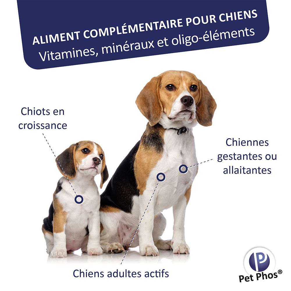 Afbeelding met honden. Tekst: Aliment complémentaire pour chiens. Vitamines, minéraux et oligo-éléments. Logo Pet Phos®.