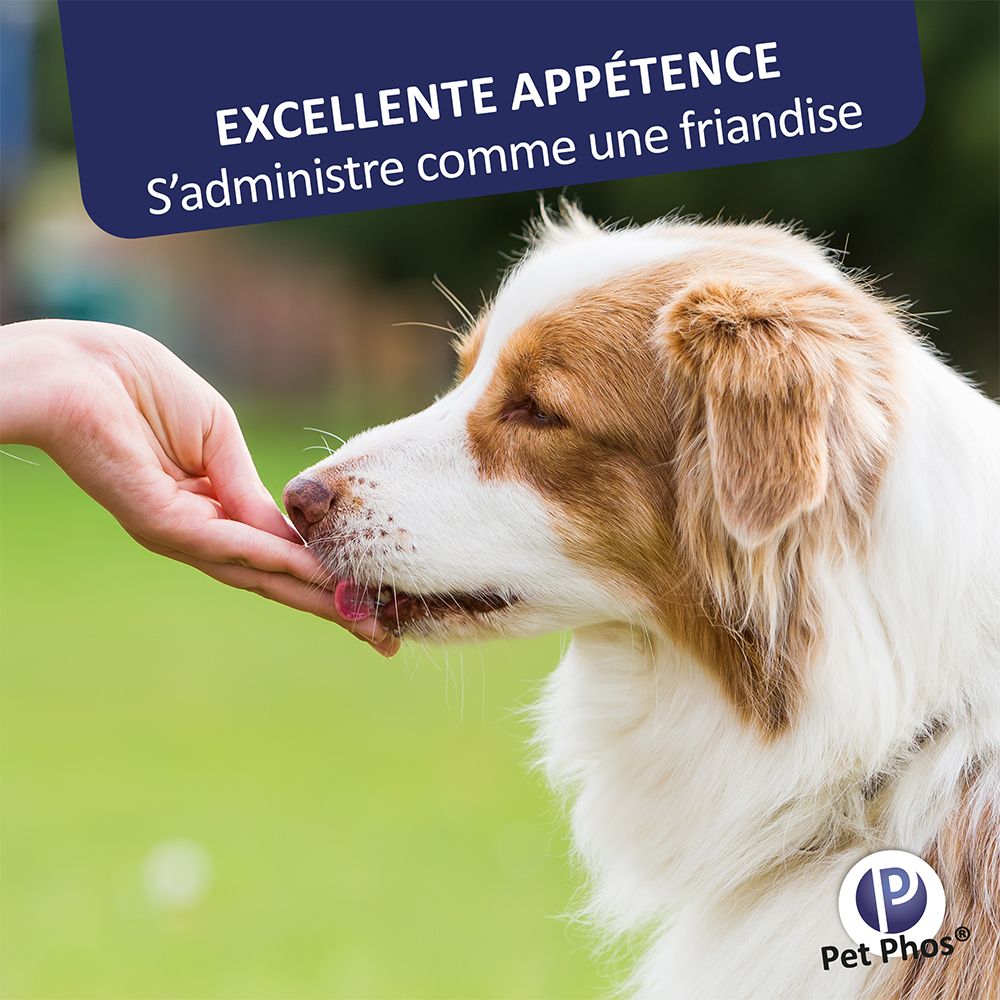 Hand geeft hond tablet. Tekst: Excellente appétence. S'administre comme une friandise. Logo Pet Phos®.