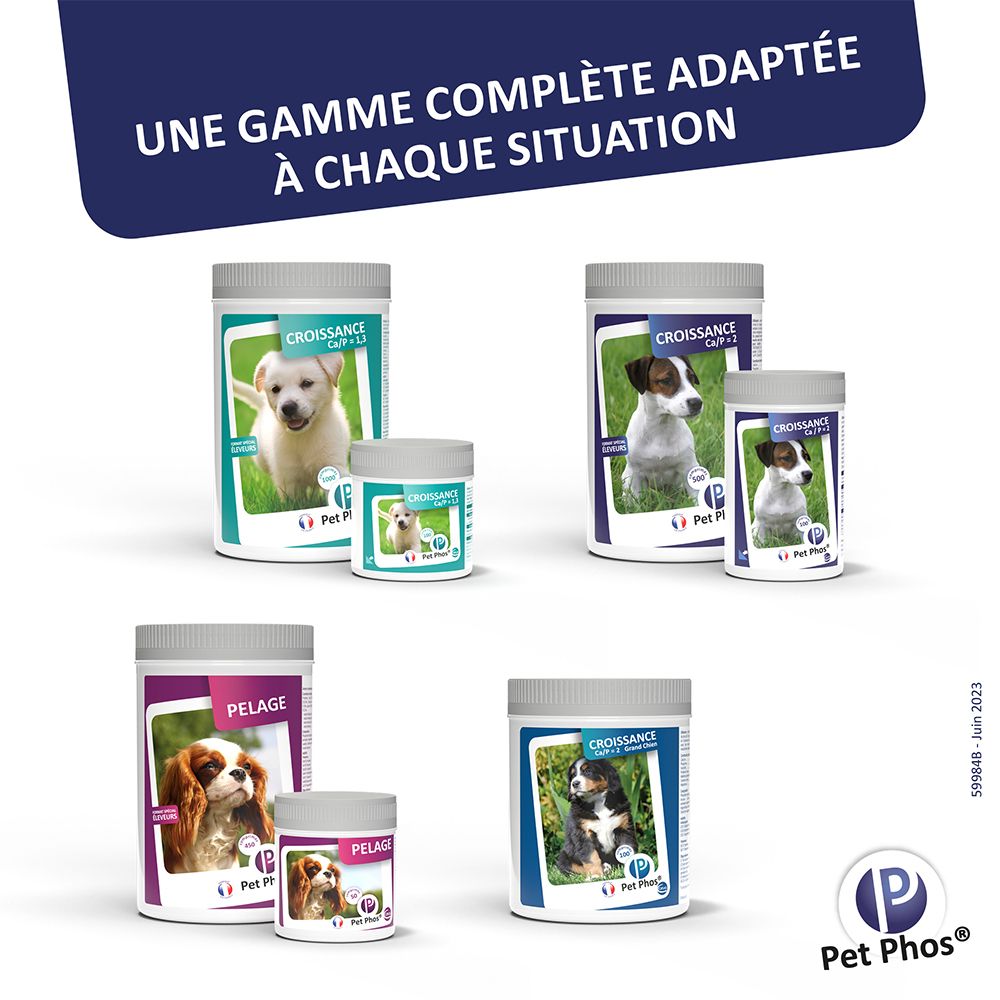 Meerdere tablettencontainers. Tekst: Une gamme complète adaptée à chaque situation. Logo Pet Phos®.