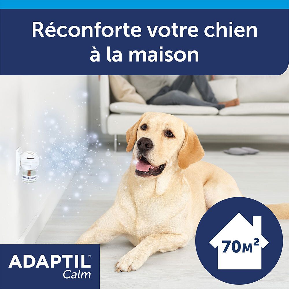 Adaptil Calm diffuser in werking. Hond ontspannen. Oppervlakte: 70m². Troost honden thuis.