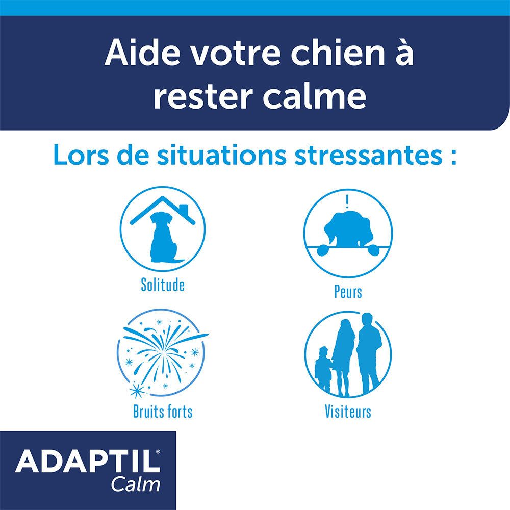 Adaptil Calm. Illustraties van stressvolle situaties voor honden: eenzaamheid, angsten, harde geluiden, bezoekers.