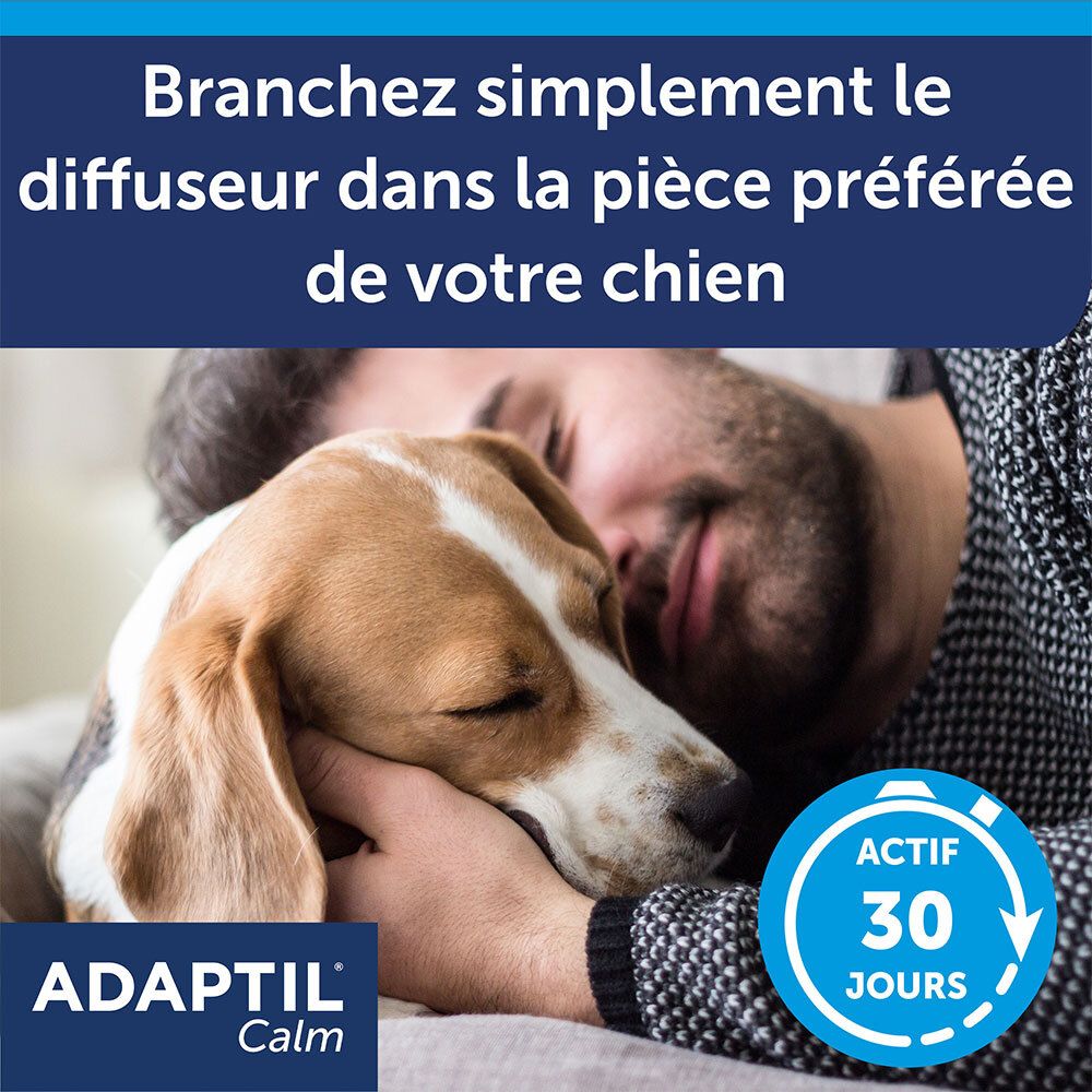 Adaptil Calm: sluit de diffuser eenvoudig aan in de favoriete ruimte van de hond.